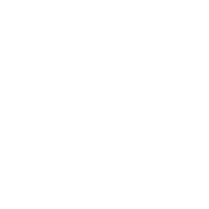 falcon.webp