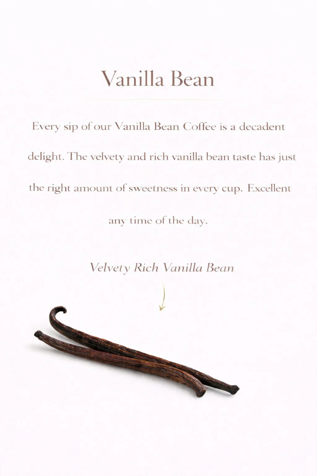 ChatGPT Image Feb 26, 2026, 06_58_51 PM.jpg