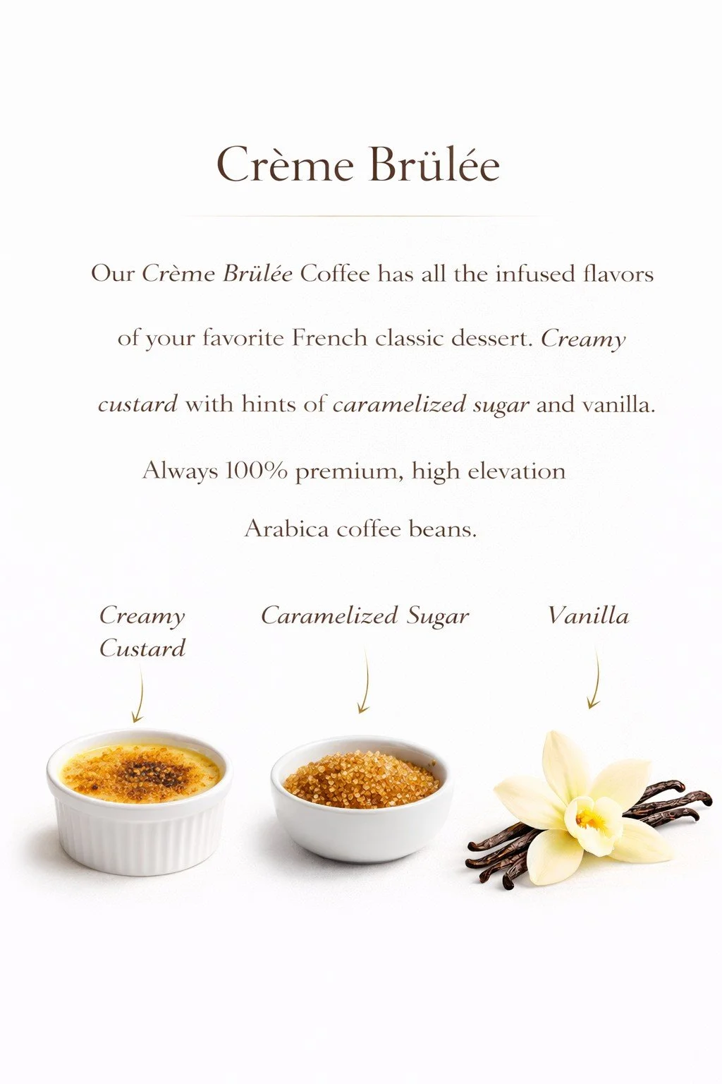 ChatGPT Image Feb 26, 2026, 06_33_38 PM.jpg