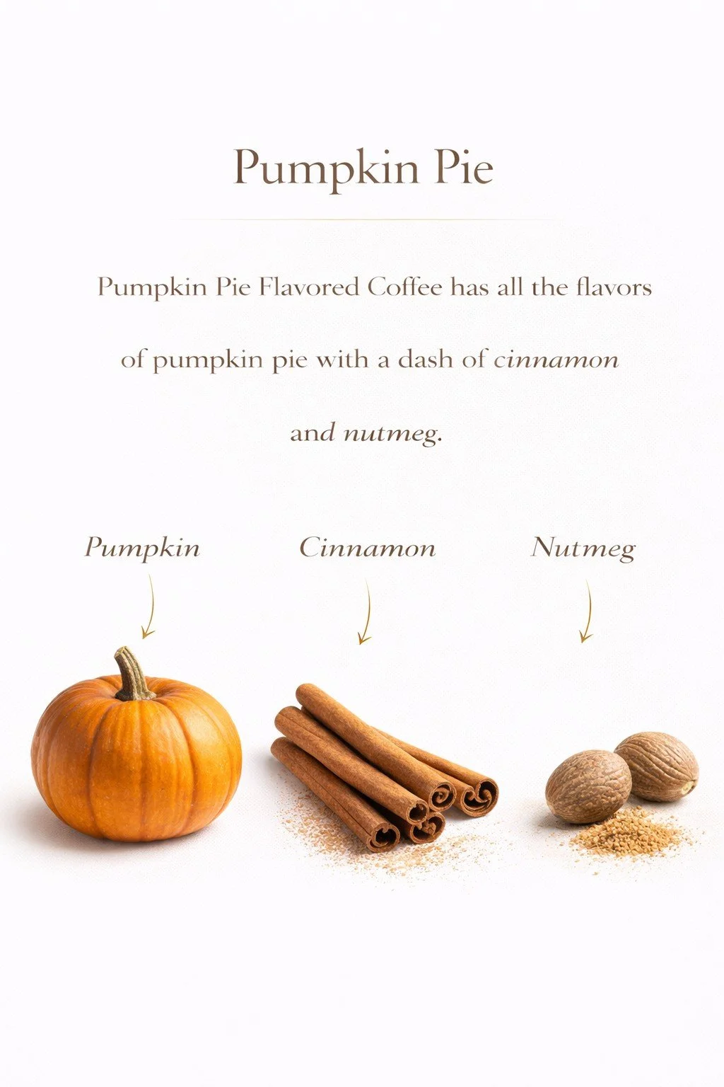 Pumpkin pie coffee ingredients close-up.jpg