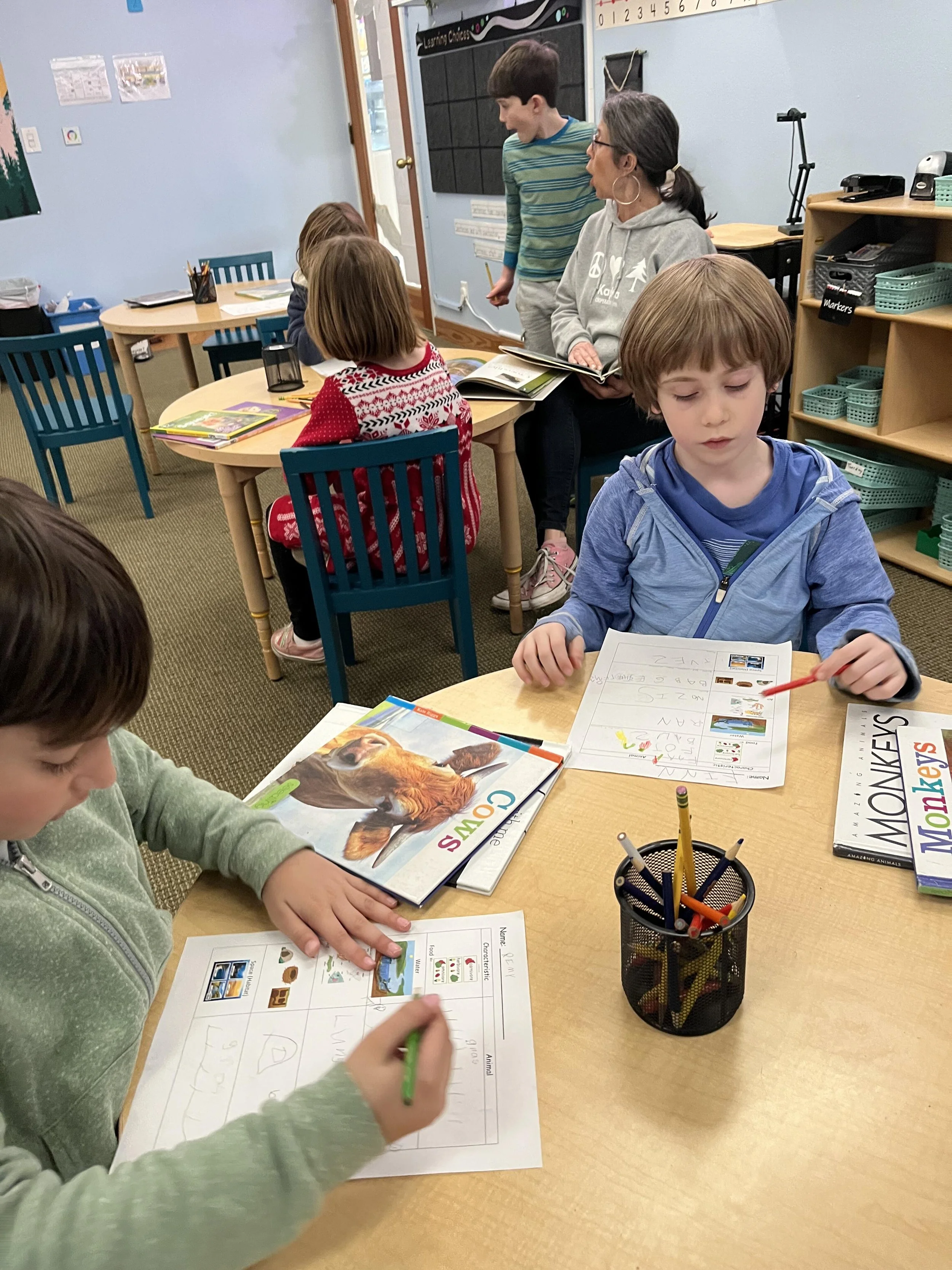writing picture stories