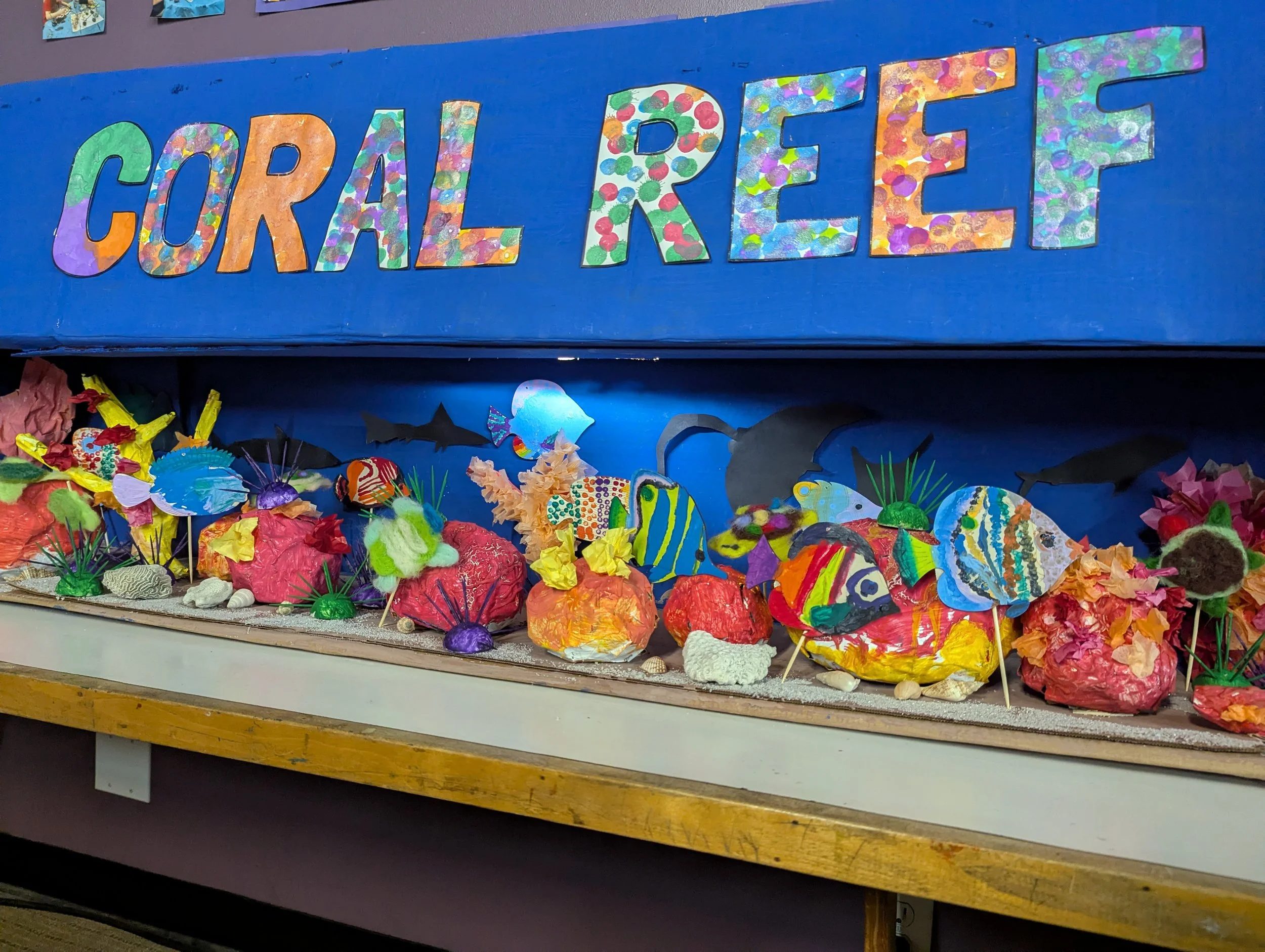 Coral reef project