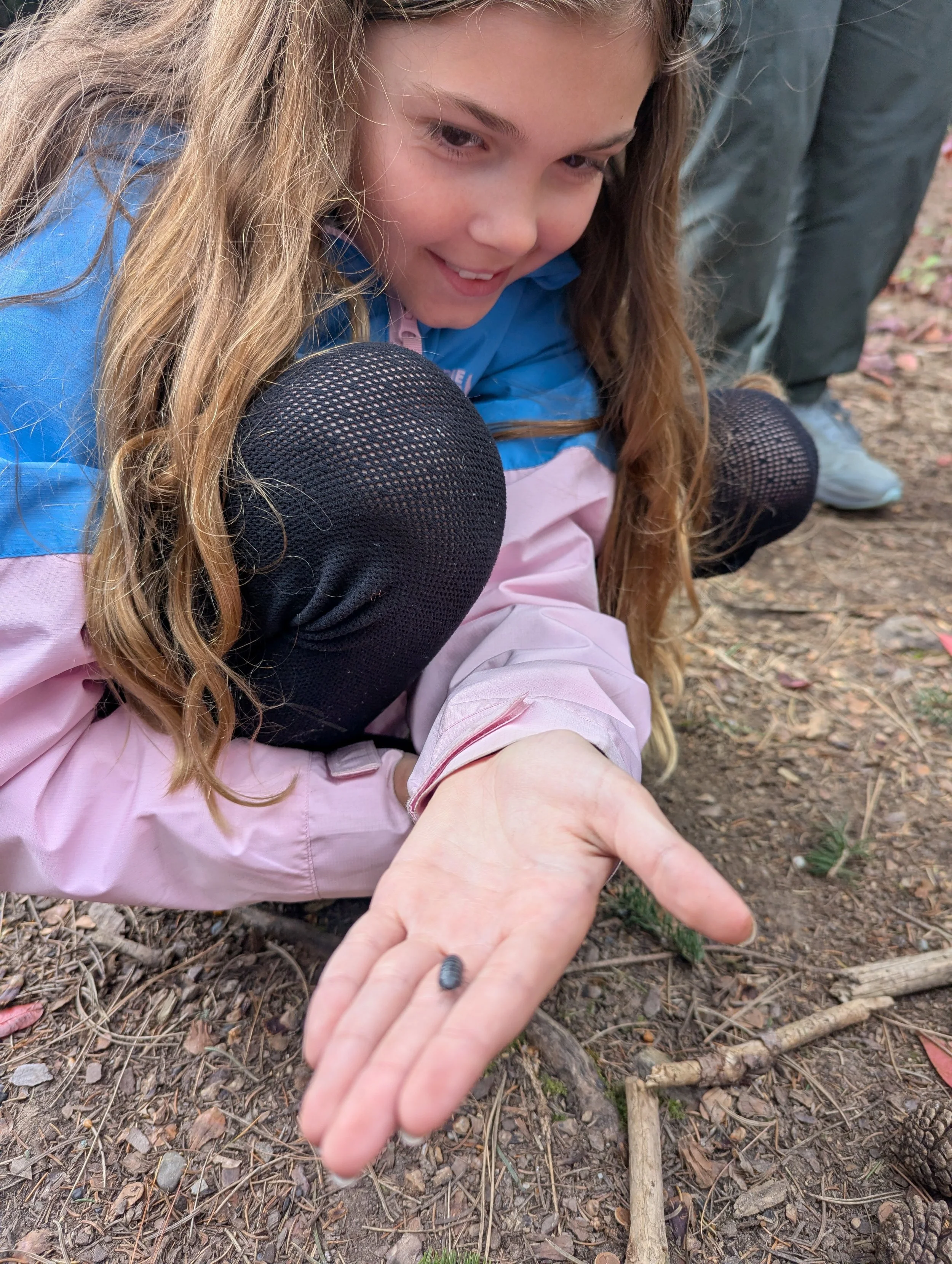 fun outdoors with bugs