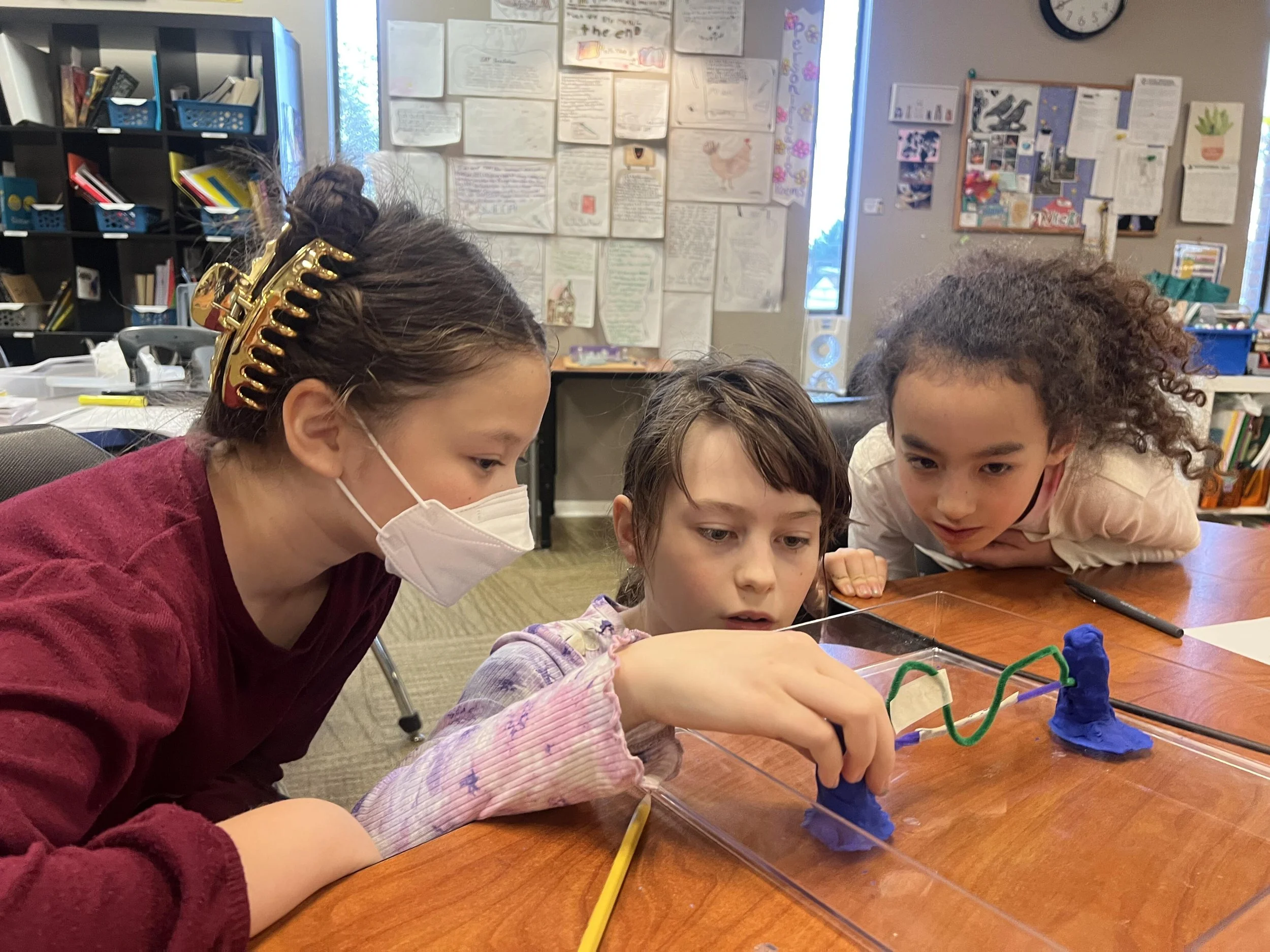 clay and pipecleaner project