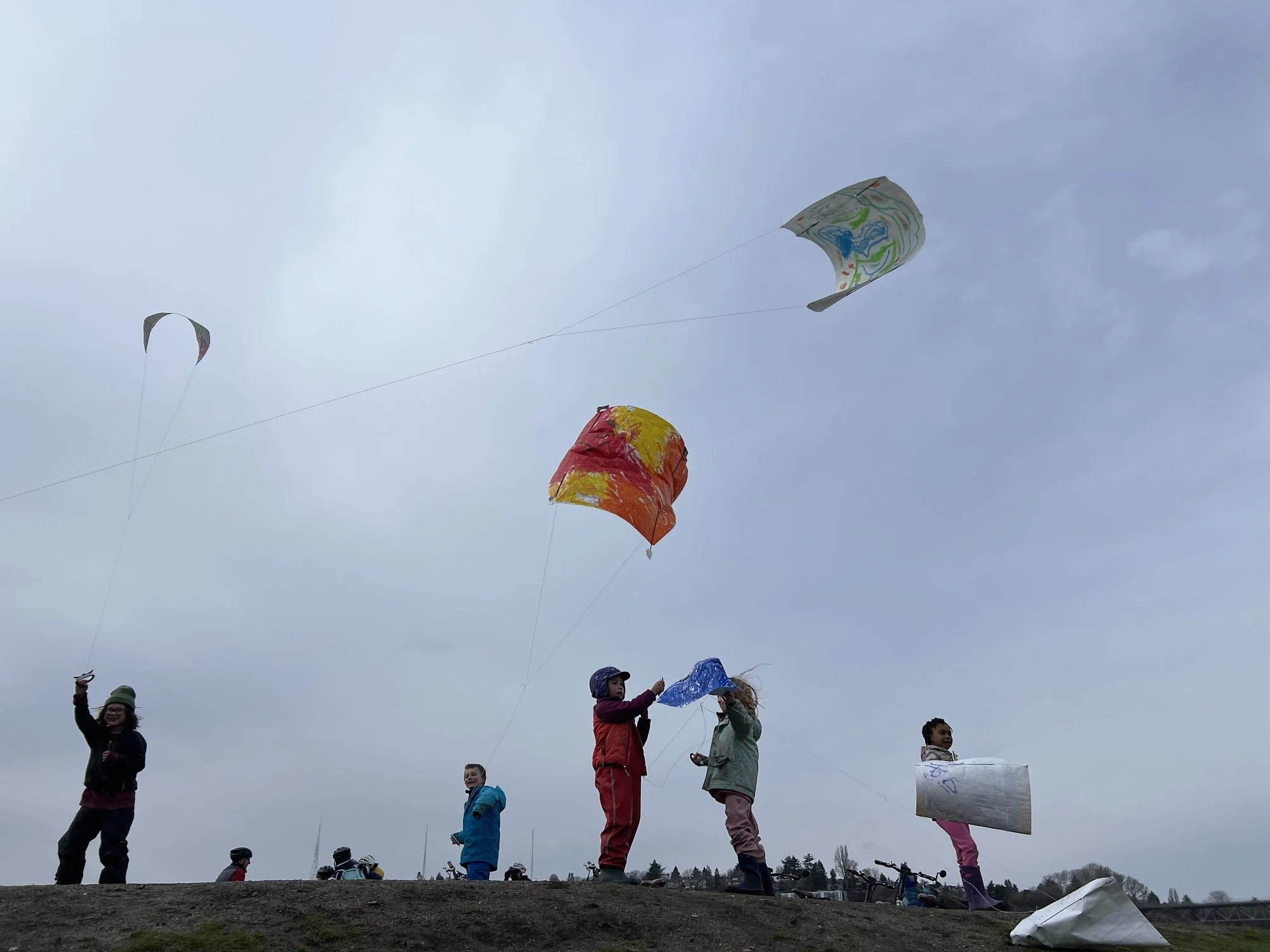 Flying kites