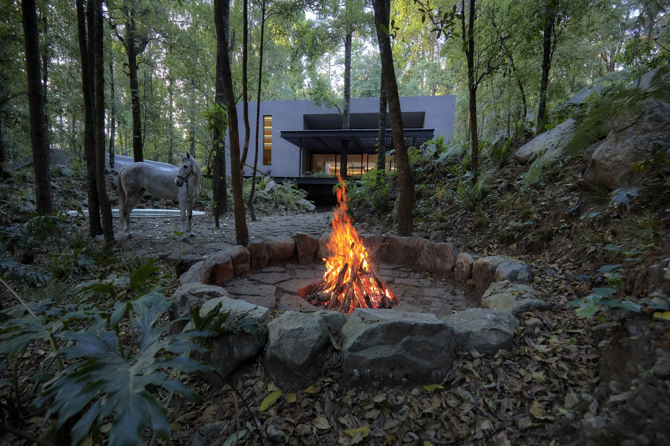 11_RSS_CABAÑA SOCIAL_FOGATA.jpg