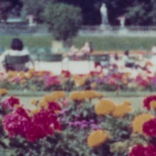 Memoryscapes3_2.jpg