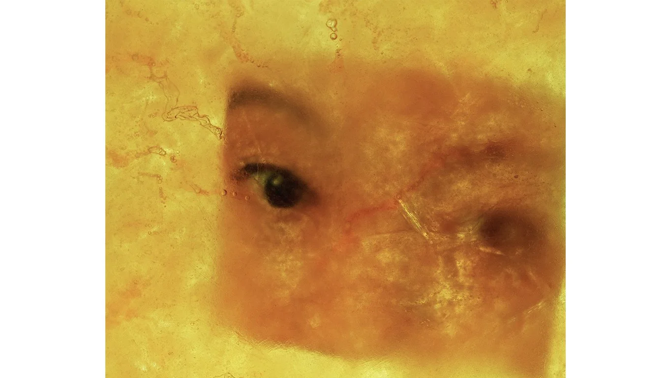 Frozen in Miso Soup