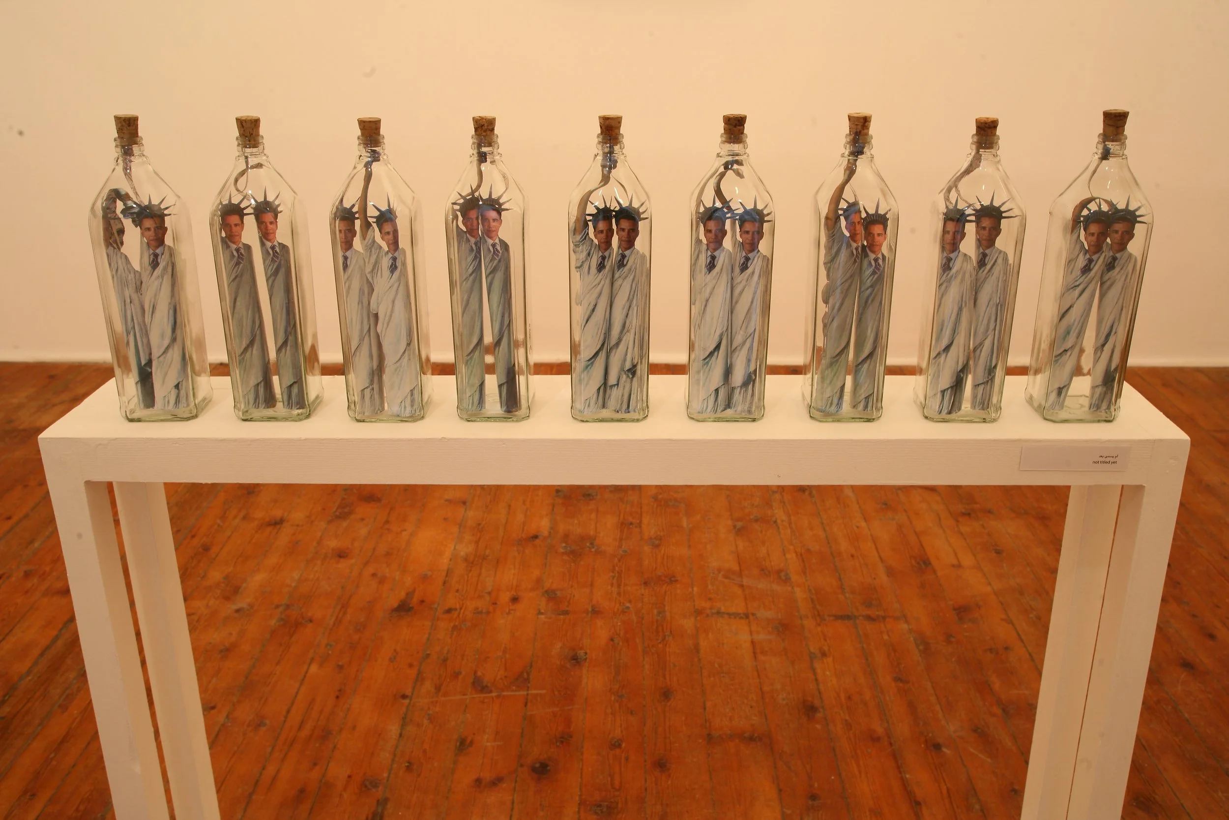 Not Titled Yet -9 Bottles Mixed Media  - 14.2x3.5x2.3 - 2010.jpg