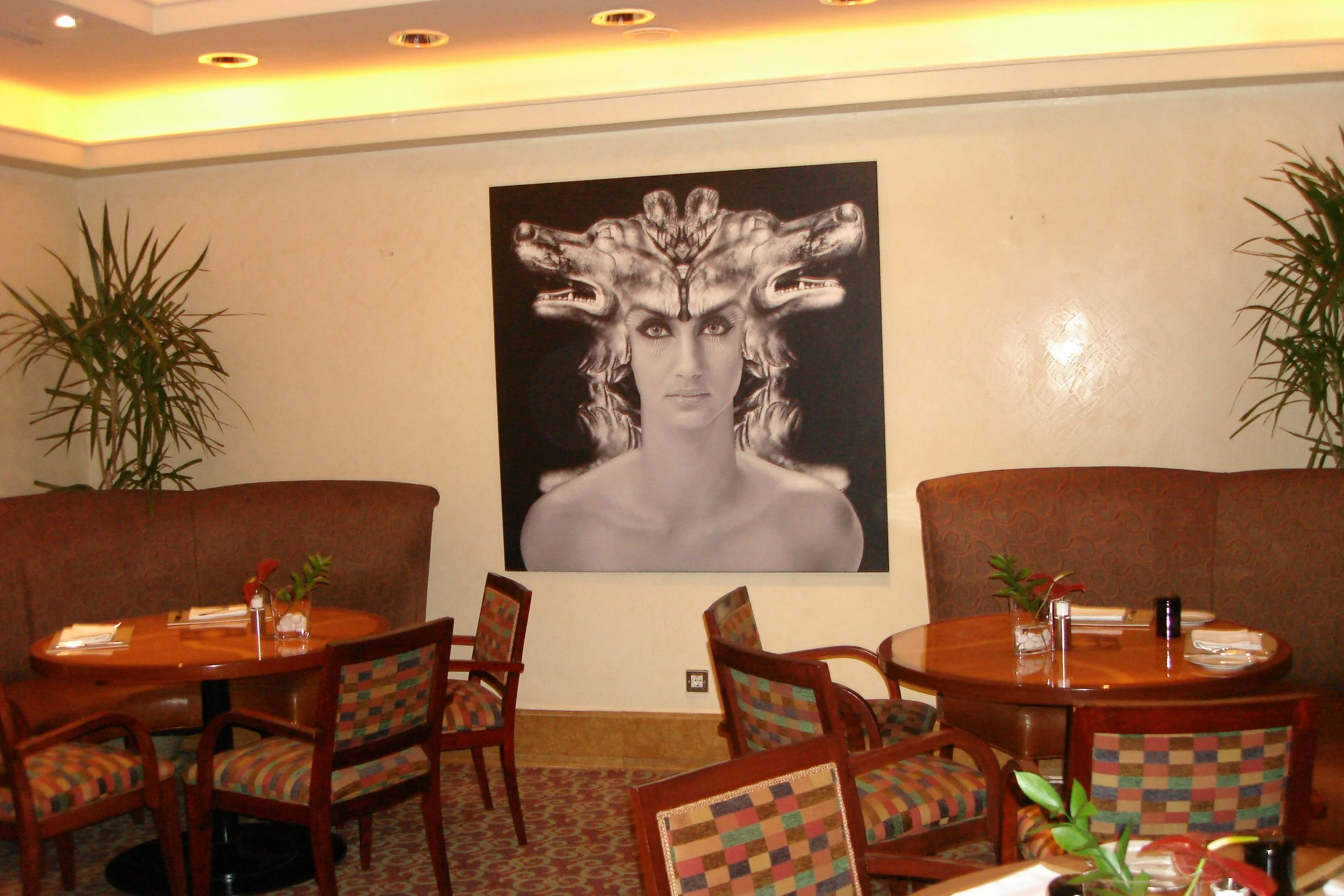 The Four Seasons at the First Residence