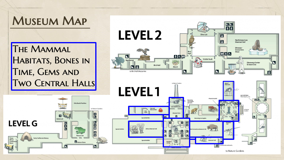 Slide14.png