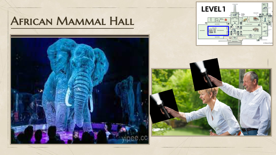 Slide31.png