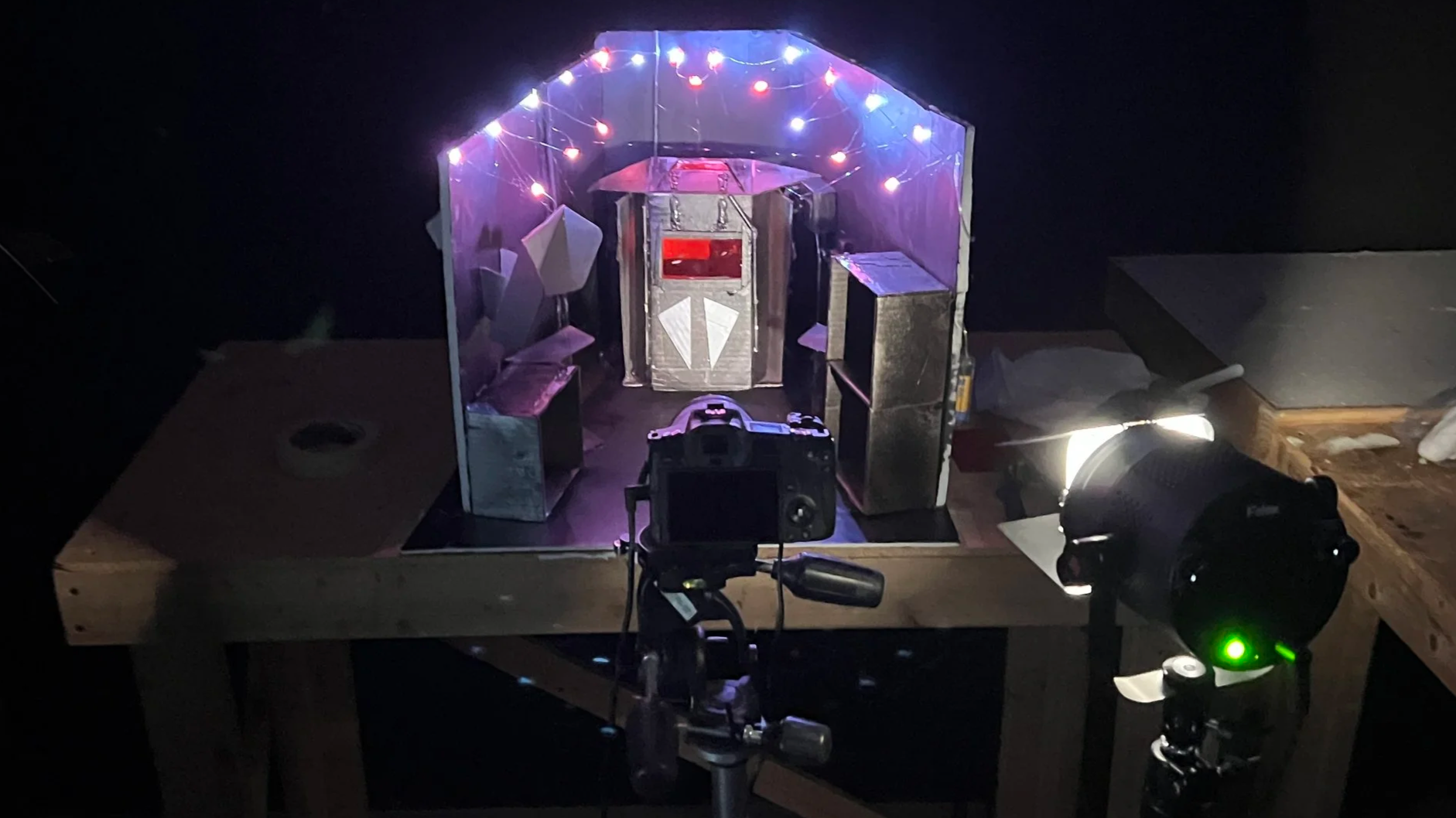 Rise of Fox: A Stop Motion Animation