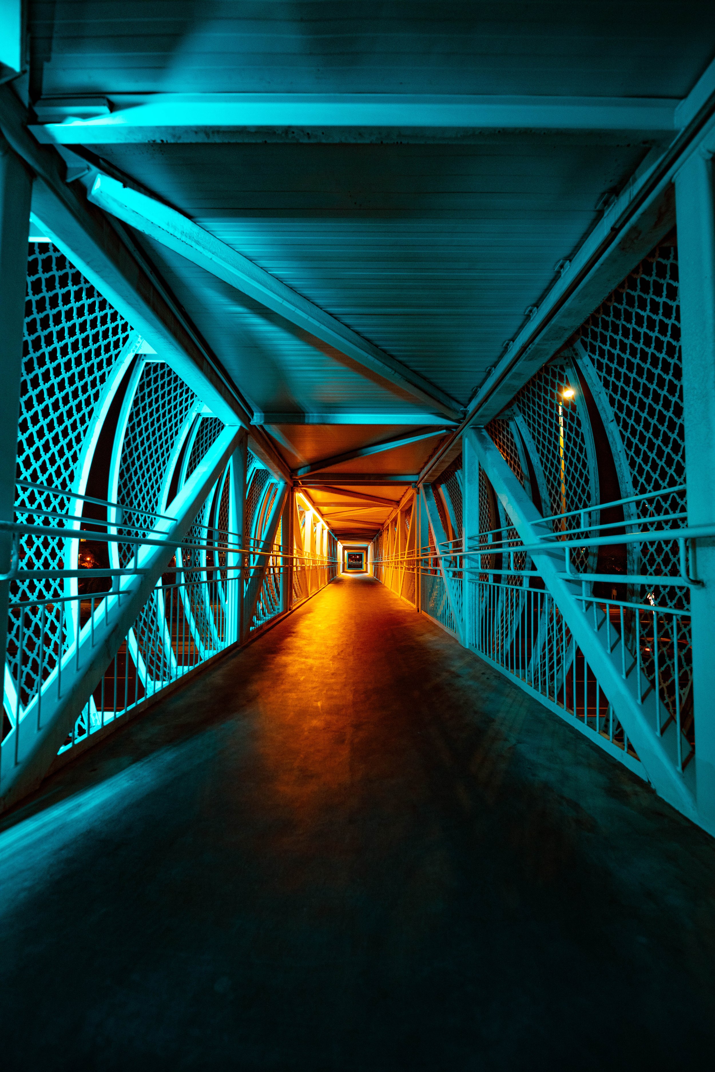 1W4A5526-2.jpg