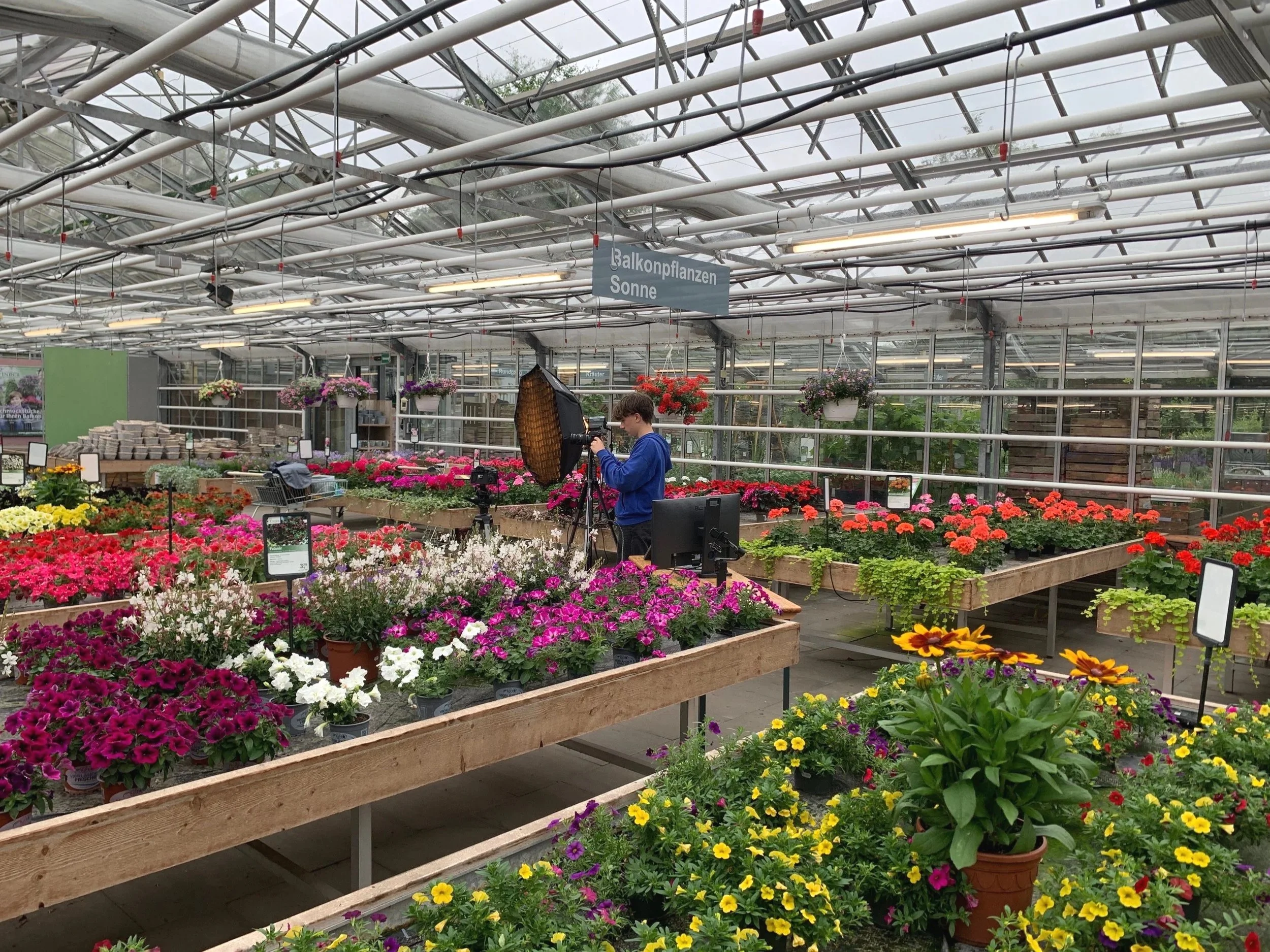 Fotograf im Gewächshaus, das voller bunter Blumen ist, führt ein Fotoshooting mit professioneller Ausrüstung durch. Es gibt Tische mit Topfpflanzen, und eine große Signaltafel hängt von der Decke.