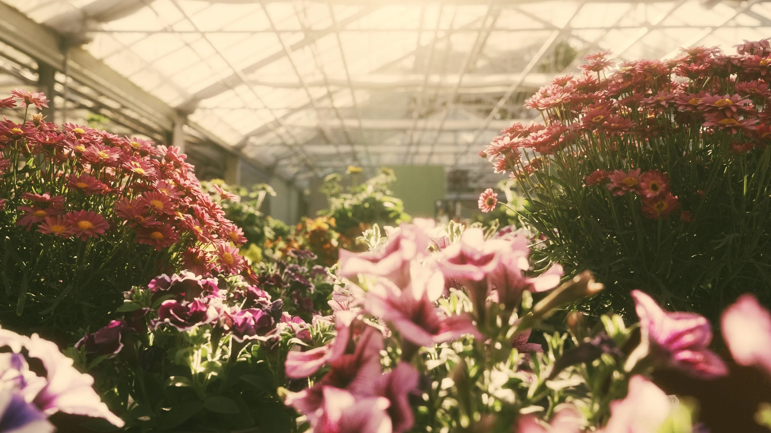 Still 2025-07-01 232800_3.14.1.jpg