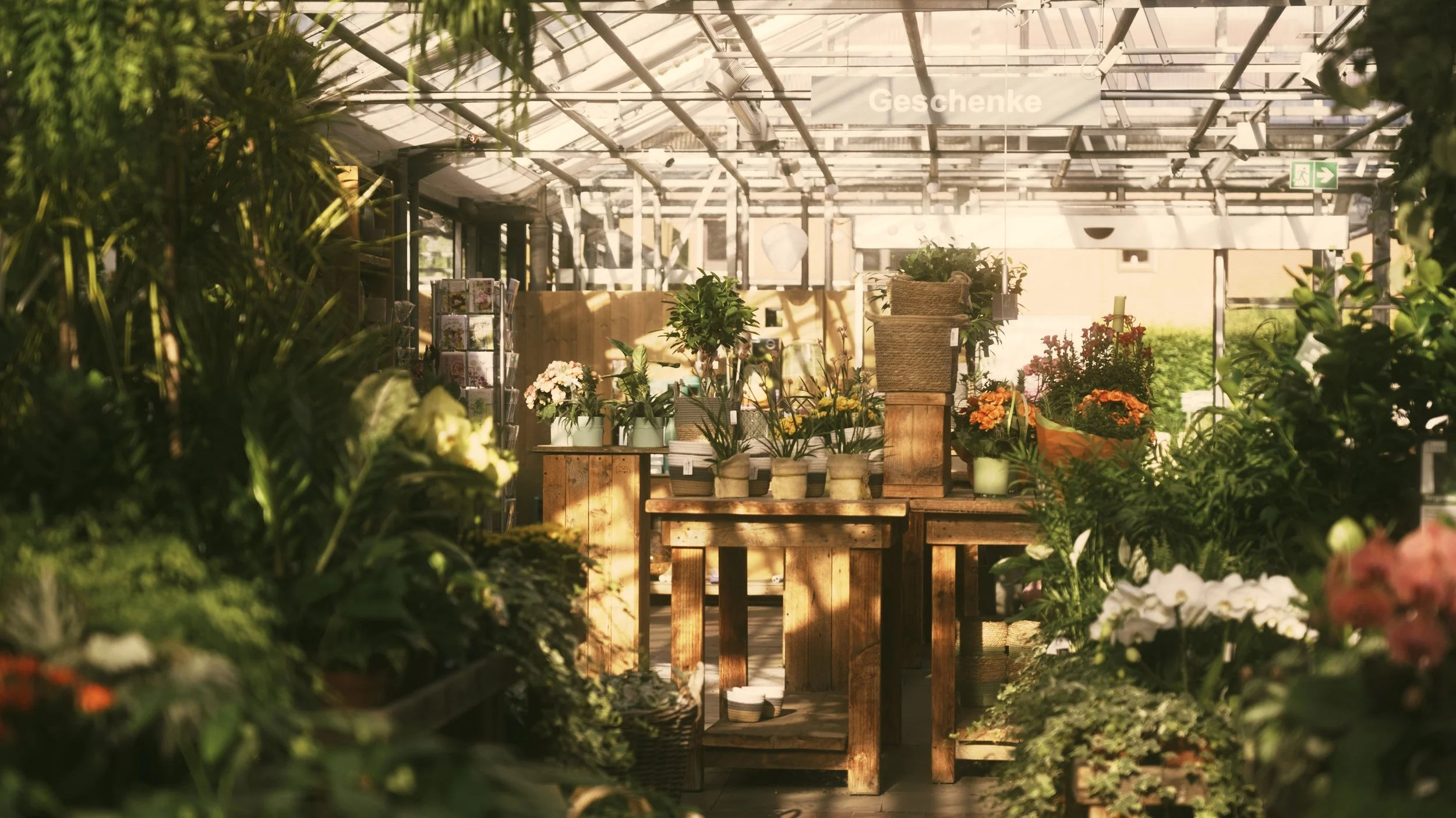 Still 2025-07-01 232800_3.5.1.jpg