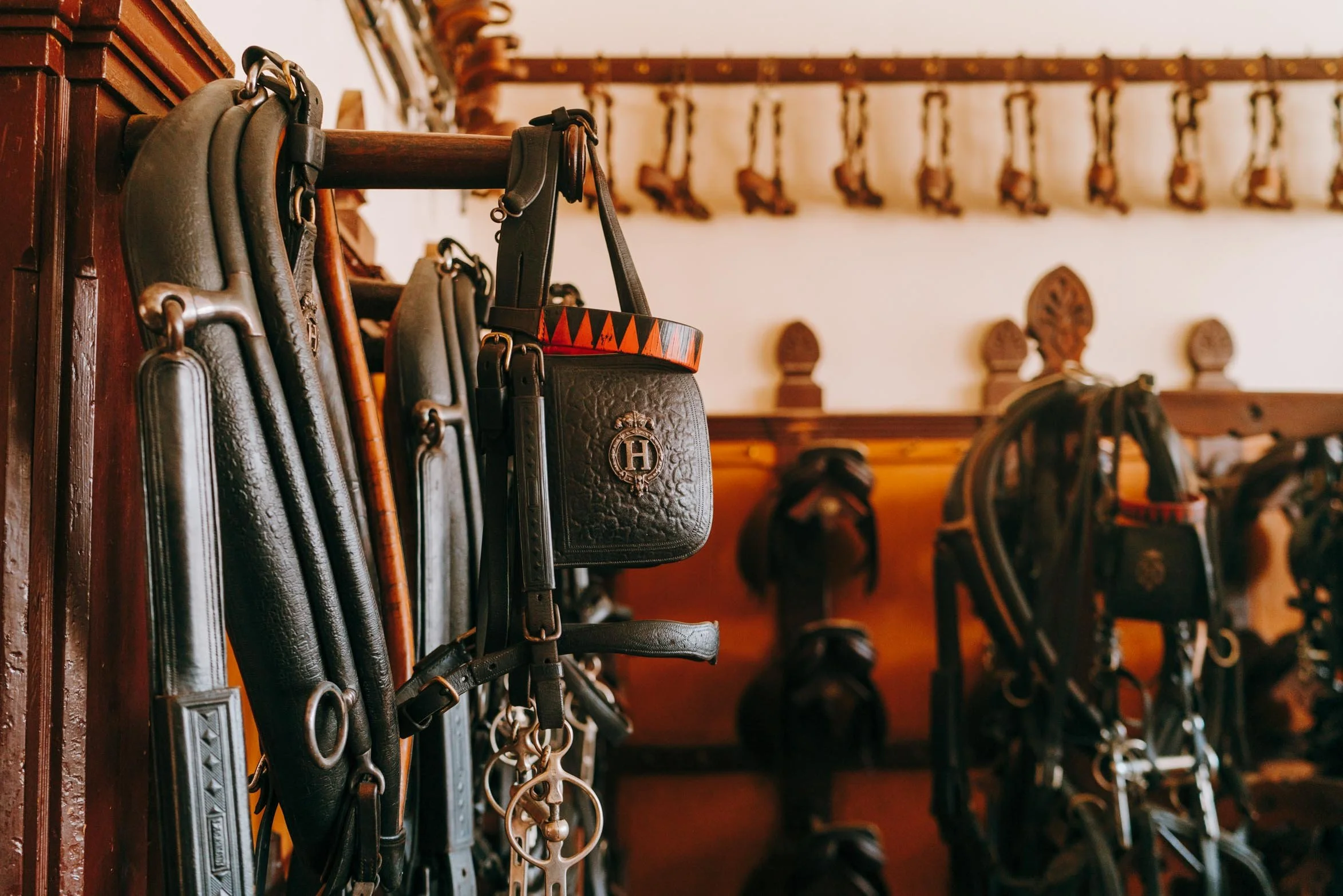 crtb-ae07493_Noe C.JPEG