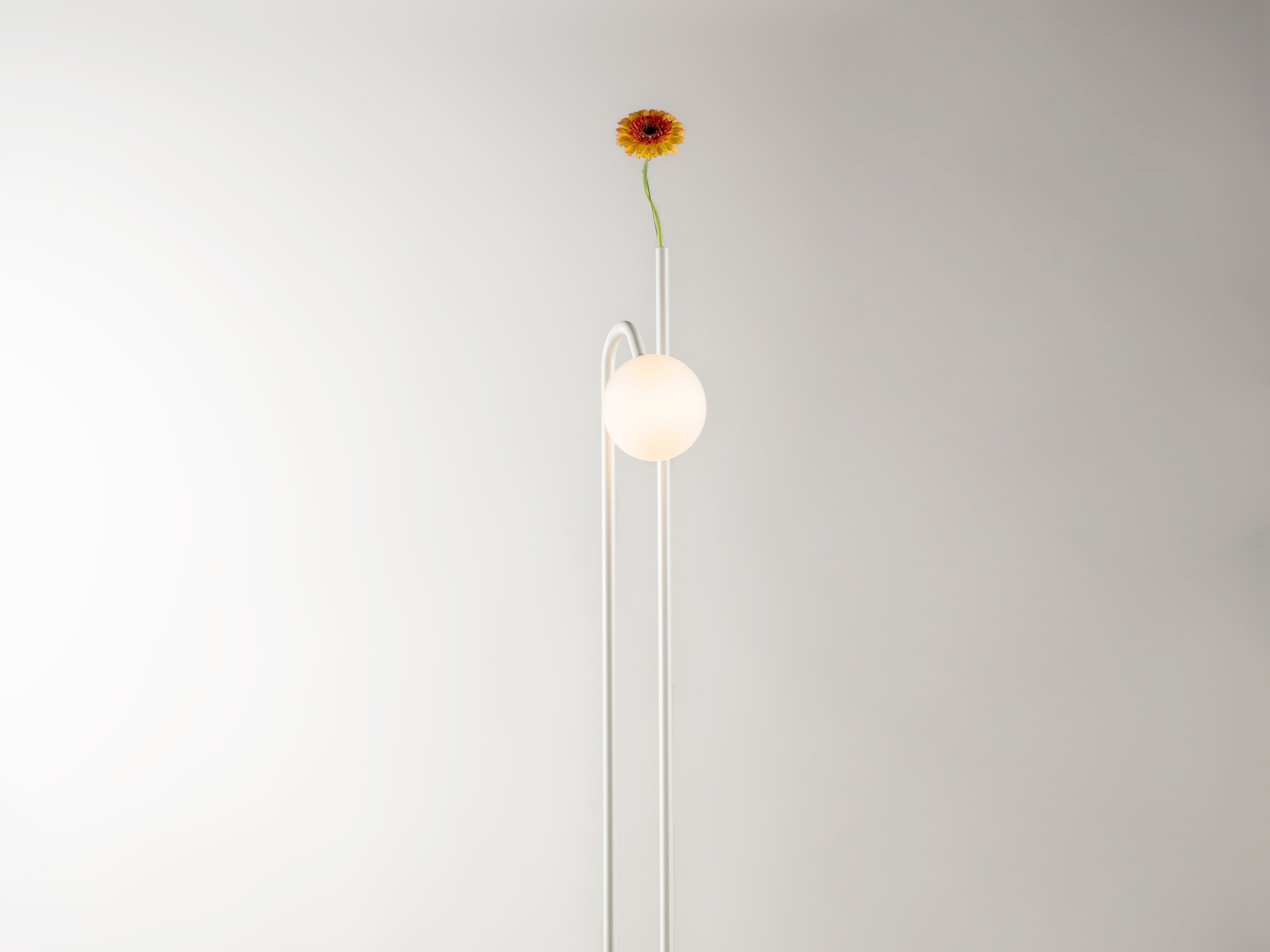 TOB06834.jpg