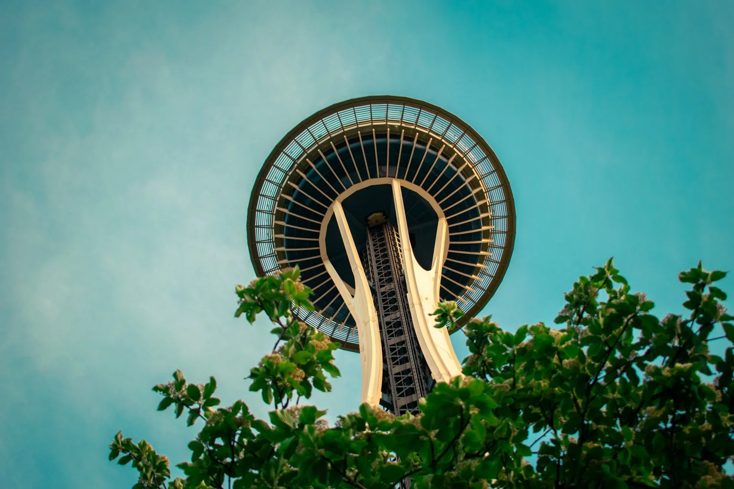 Looking up at the Space Needle in Seattle, Washington, with a clear blue sky and green tree branches in the foreground.