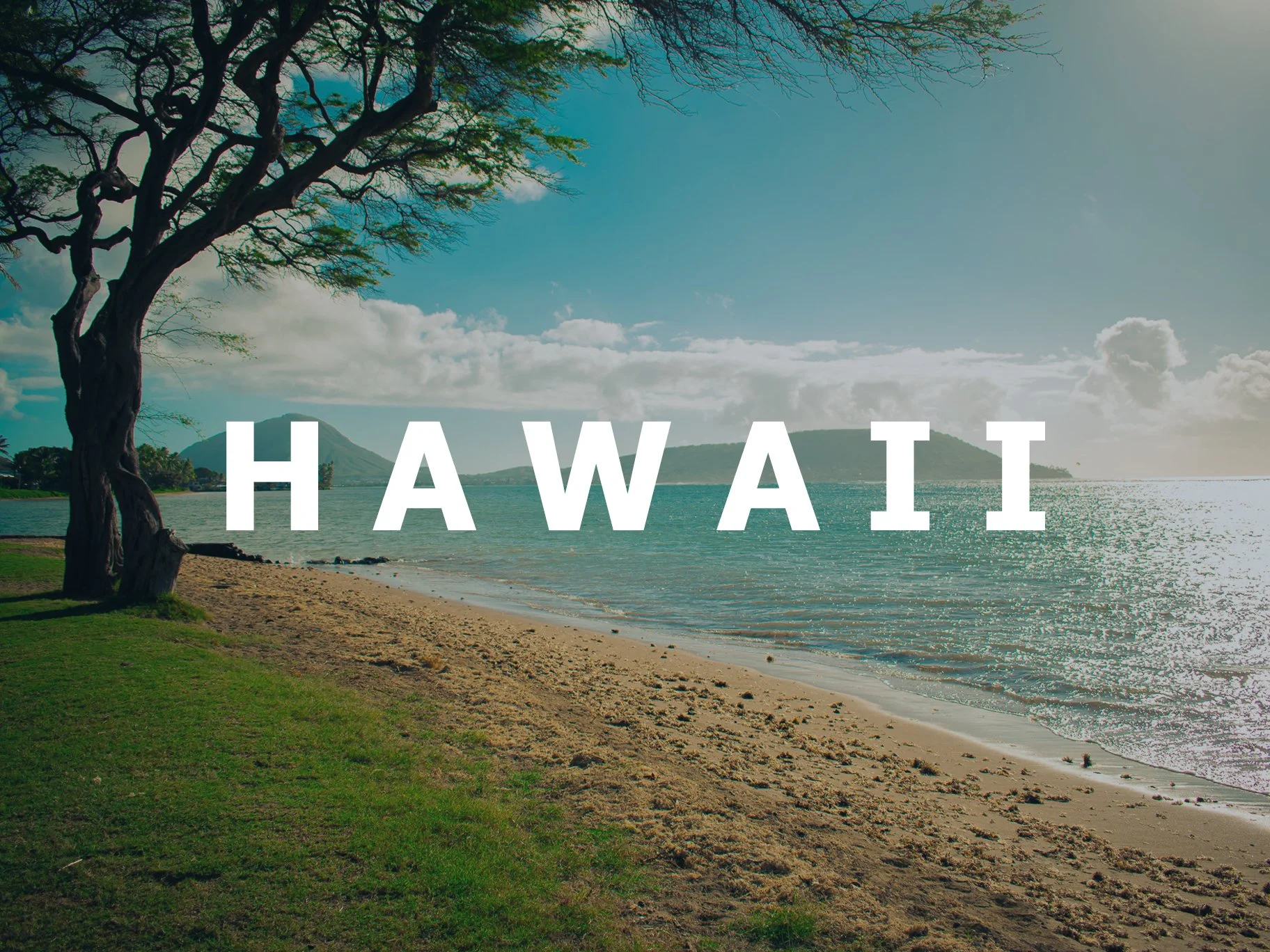 Gallery Title - Hawaii.jpg