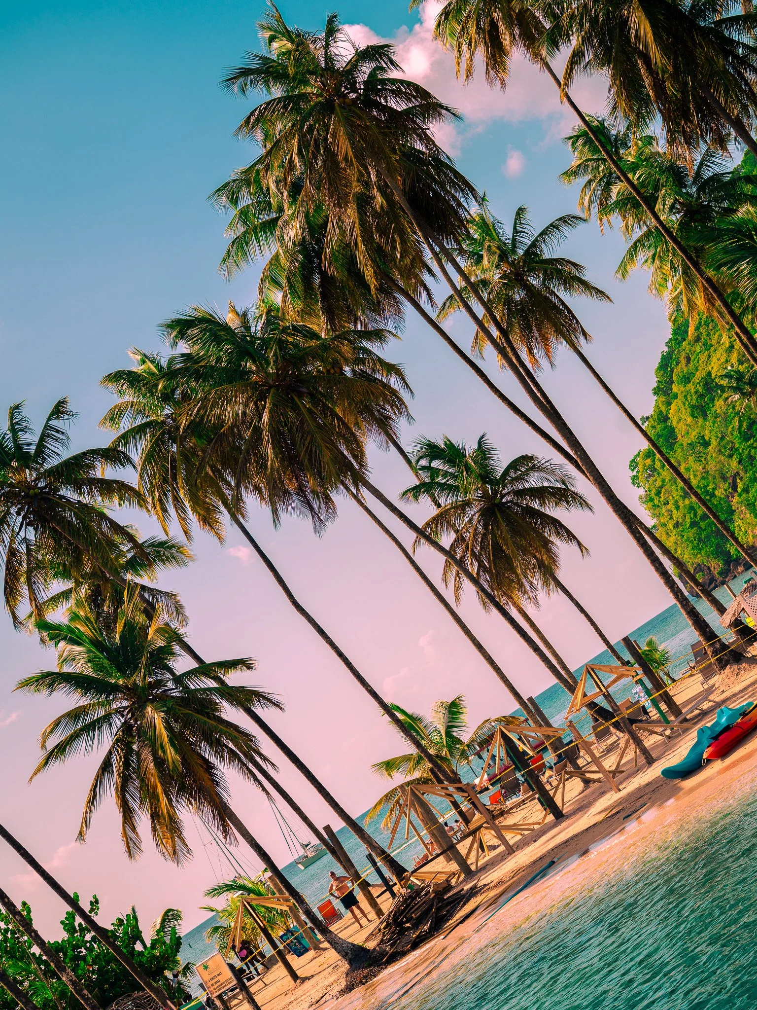 Sunny beach with tall palm trees, colorful umbrellas, and kayaks on the sand, overlooking the ocean with a clear blue sky.