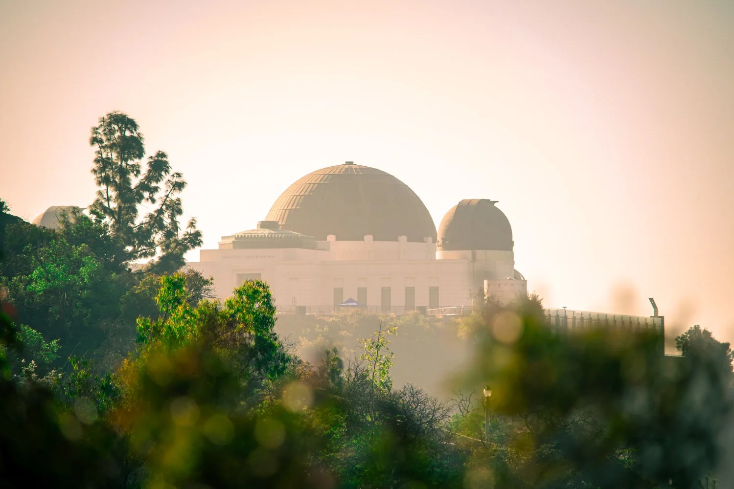 The Griffith Observatory on a hill surrounded by trees with a bright hazy sky.