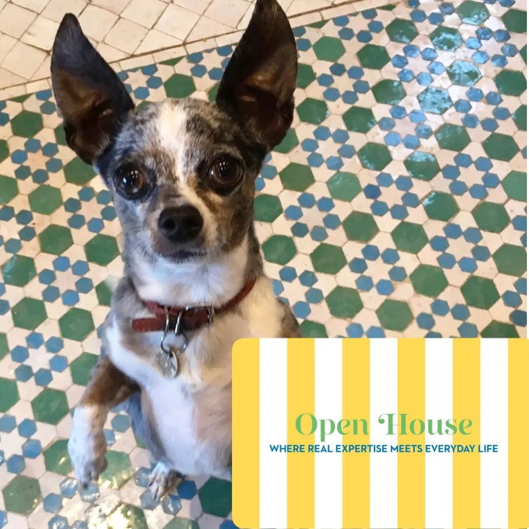 New article live on @idealhomeuk the title my editor chose just made me laugh out loud (True though) all about my love of Tiles, a rambling look through some of my faves through houses past and my solution to choosing tiles with no budget in my Somer