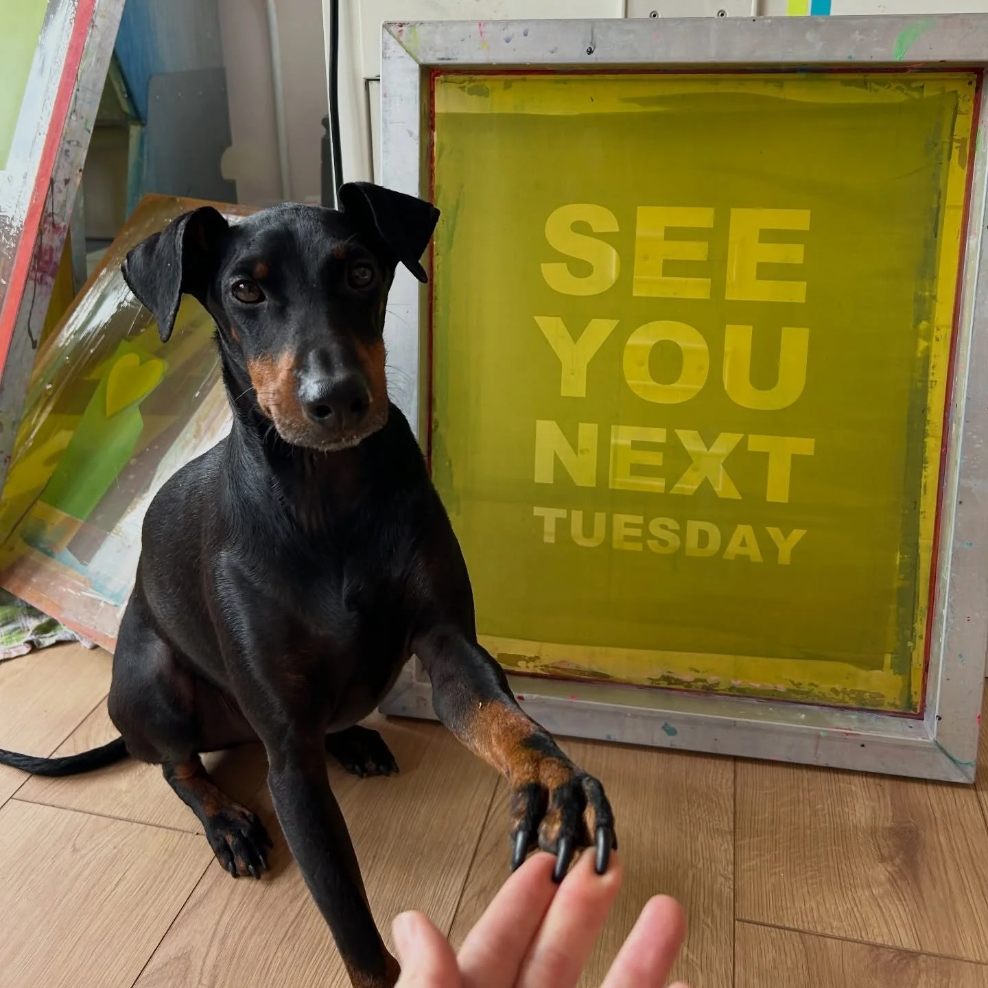 Gahh Friday already, I&rsquo;ve really failed my insta game this week, juggling half term and work, throw in this shitty weather and I kind of feel like I&rsquo;ve done none of it very well. It&rsquo;s not been a jam packed fun week for the kids this