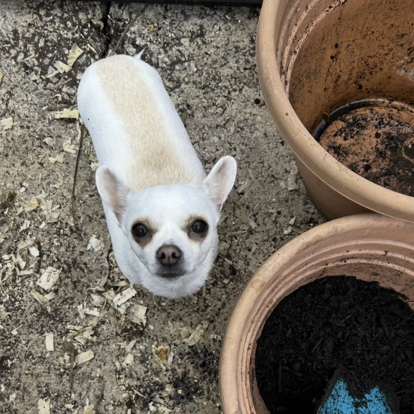 Another day, another job rejection. Just got the no from the one I interviewed for last week. But do you know what it&rsquo;s getting easier, rejections no fun, I&rsquo;m back to square one on my hunt (applied for 4, two rejections and two interviews