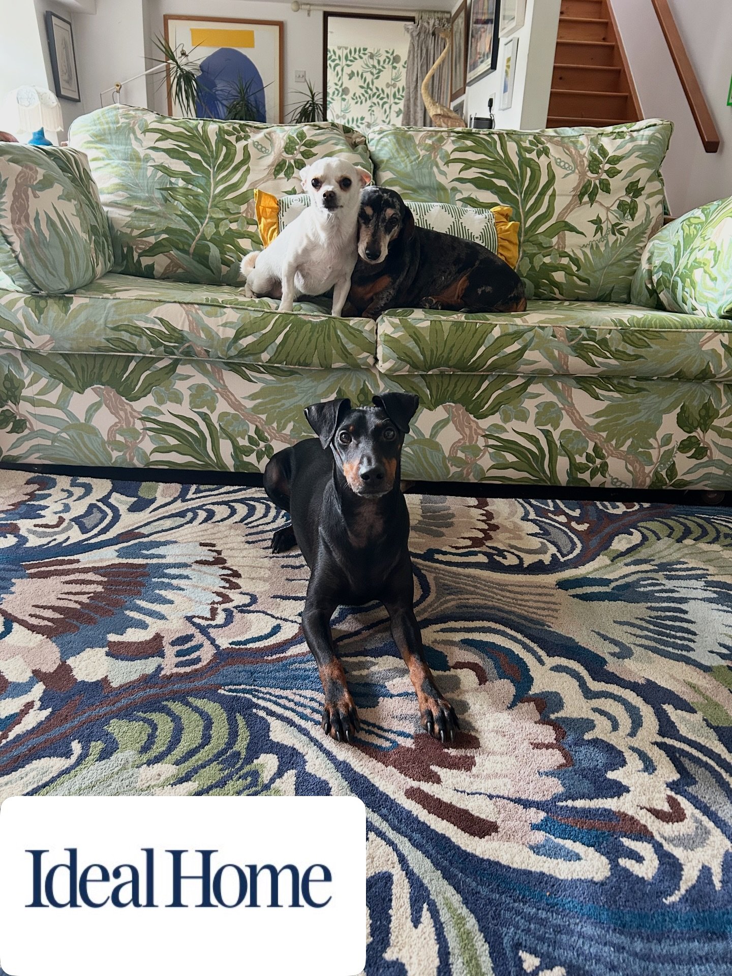 New Column Live on @idealhomeuk all about hunting for the perfect rug, I&rsquo;d been looking for ages and my excitement with @habitatuk new drop! So many gorgeous options and at a great price (and quality) I admire mine every time I walk past it. 
.