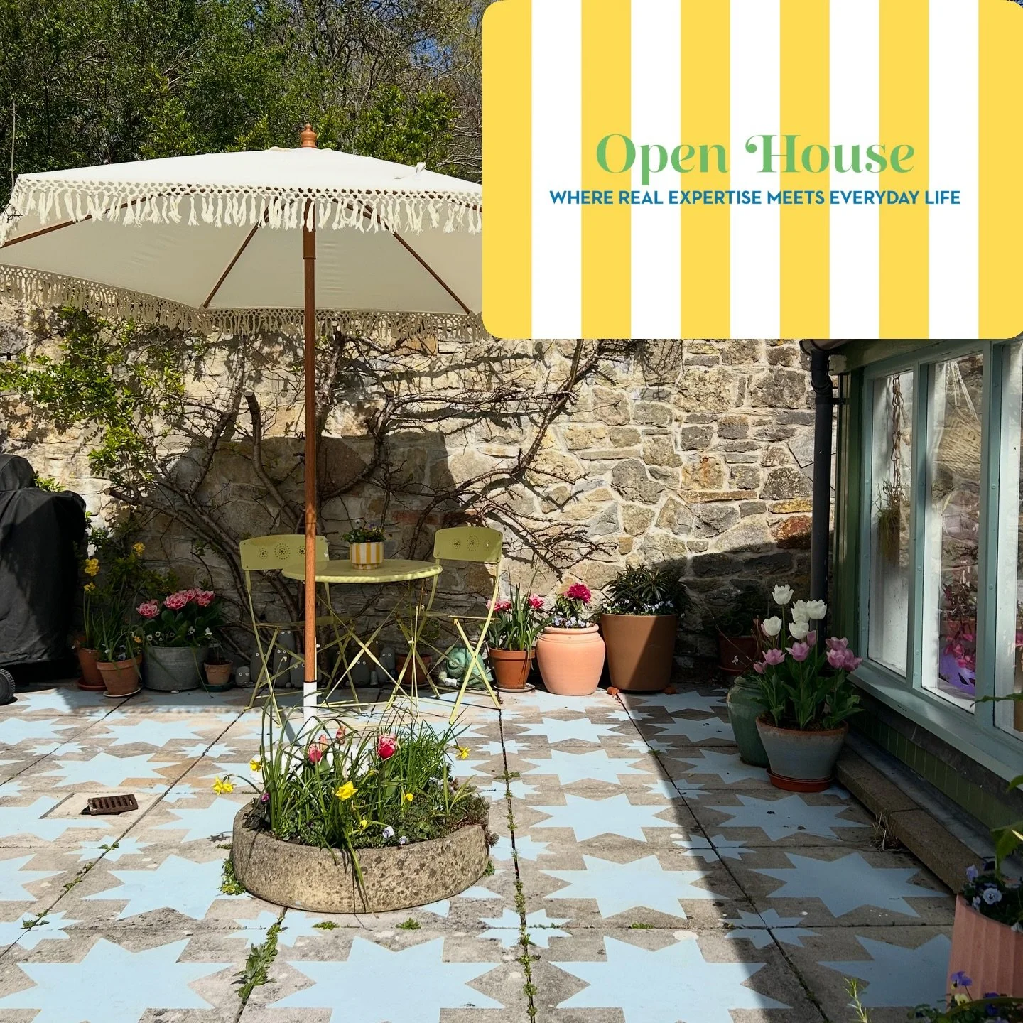 A back breaking weekend of painting my patio slabs, but worth it, ate my lunch out here in the sunshine again today! My latest article for @idealhomeuk about my budget patio makeover (under &pound;100&hellip; just/kind of) 🫣😂 had I not got the colo