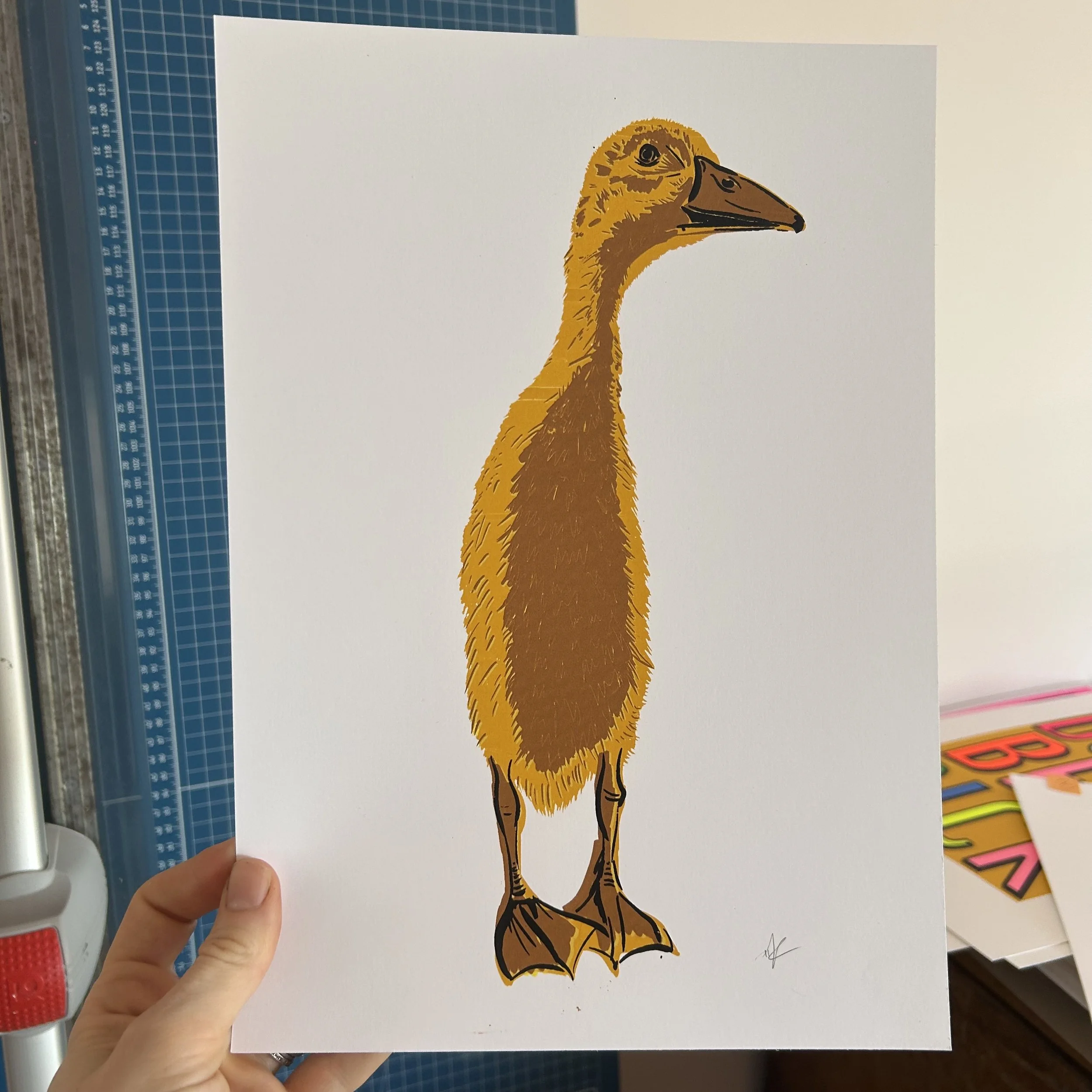 Indian Running Duck | Screen Print