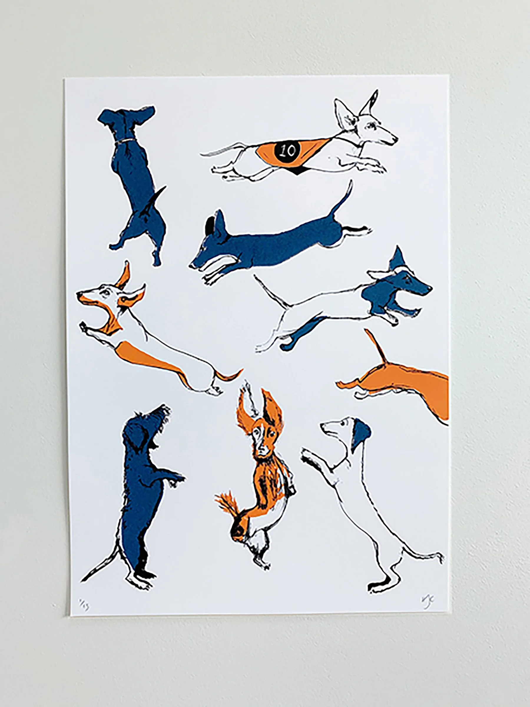 Navy Orange.jpg