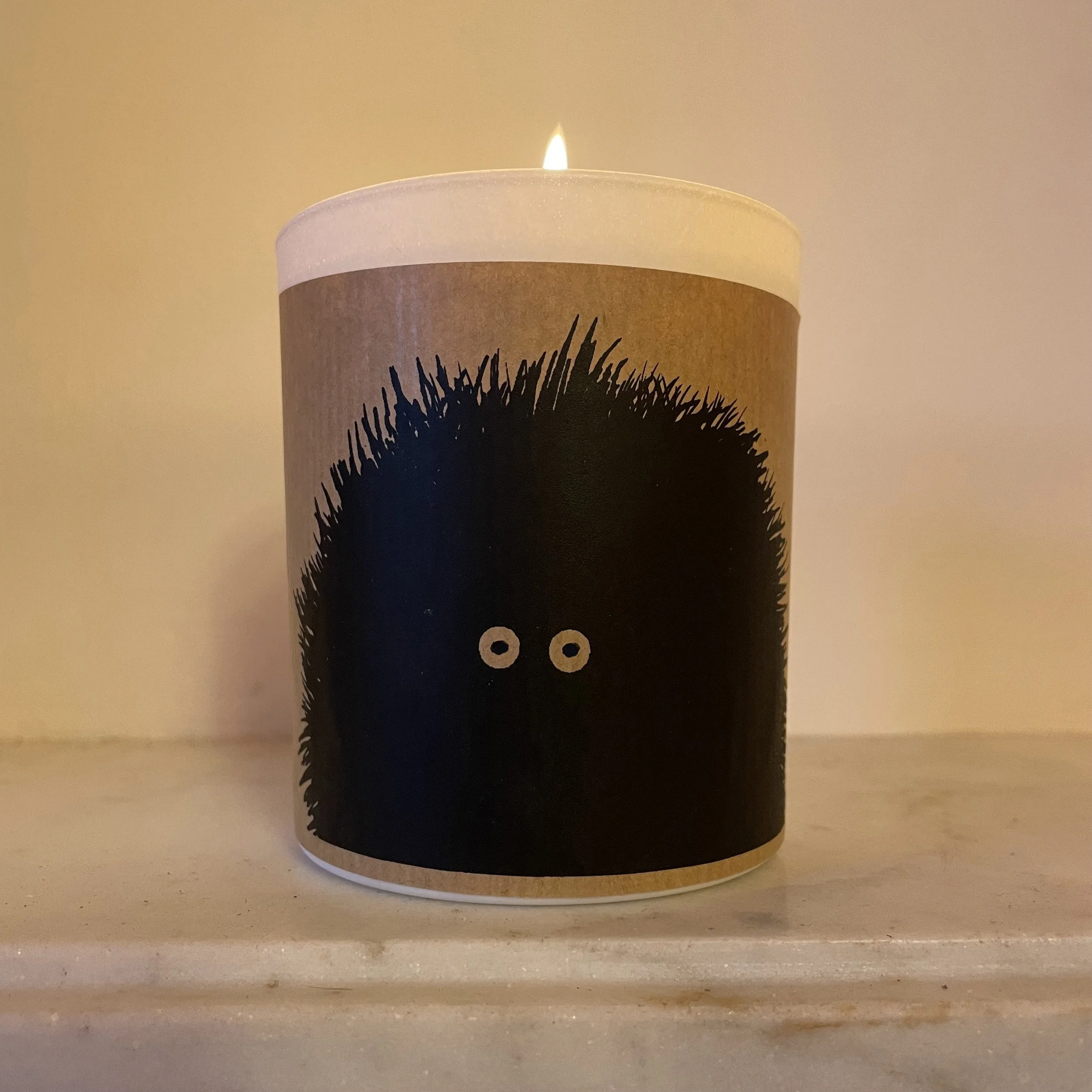 brown fluff lit.jpg