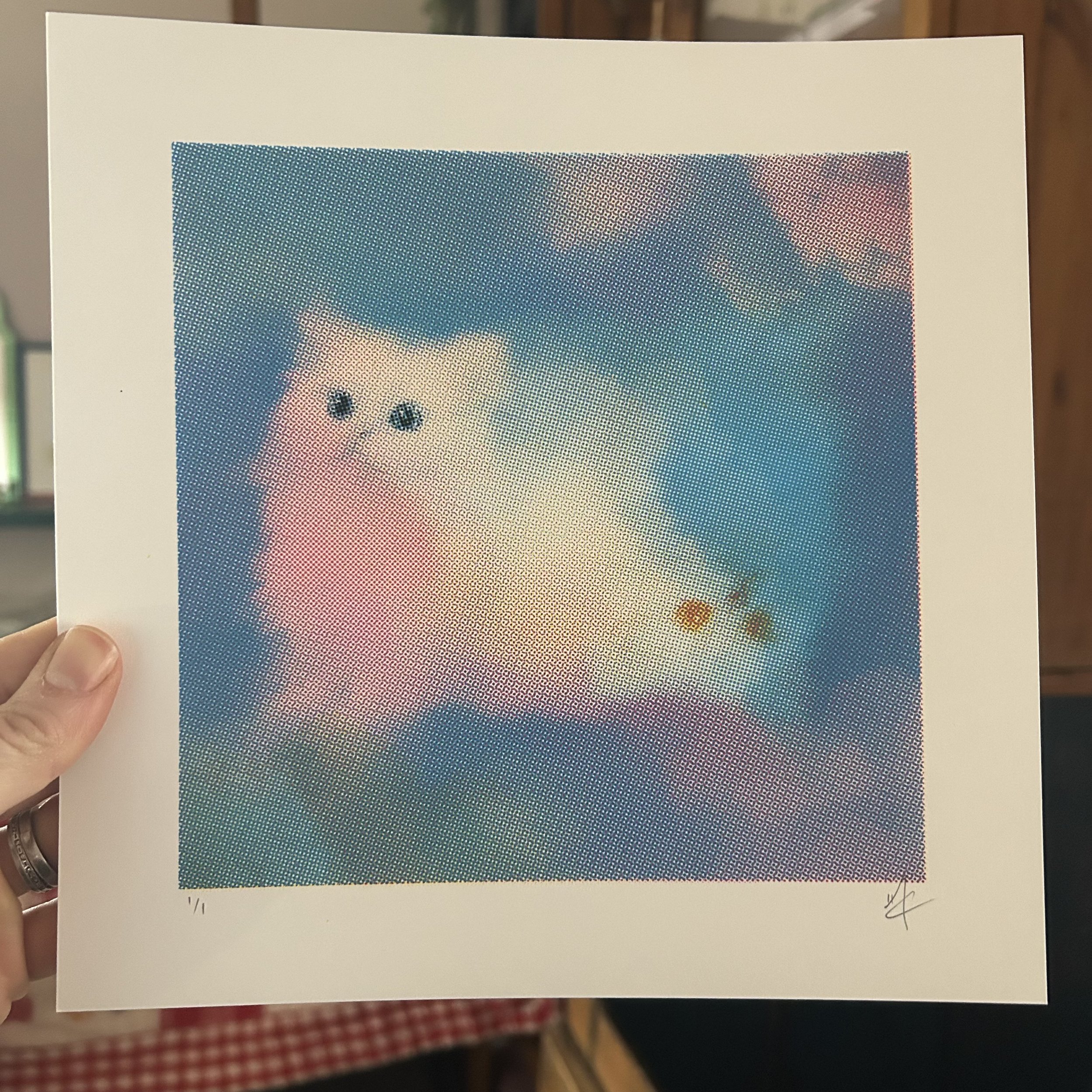 Two Faced Pink Kitten Cloud
