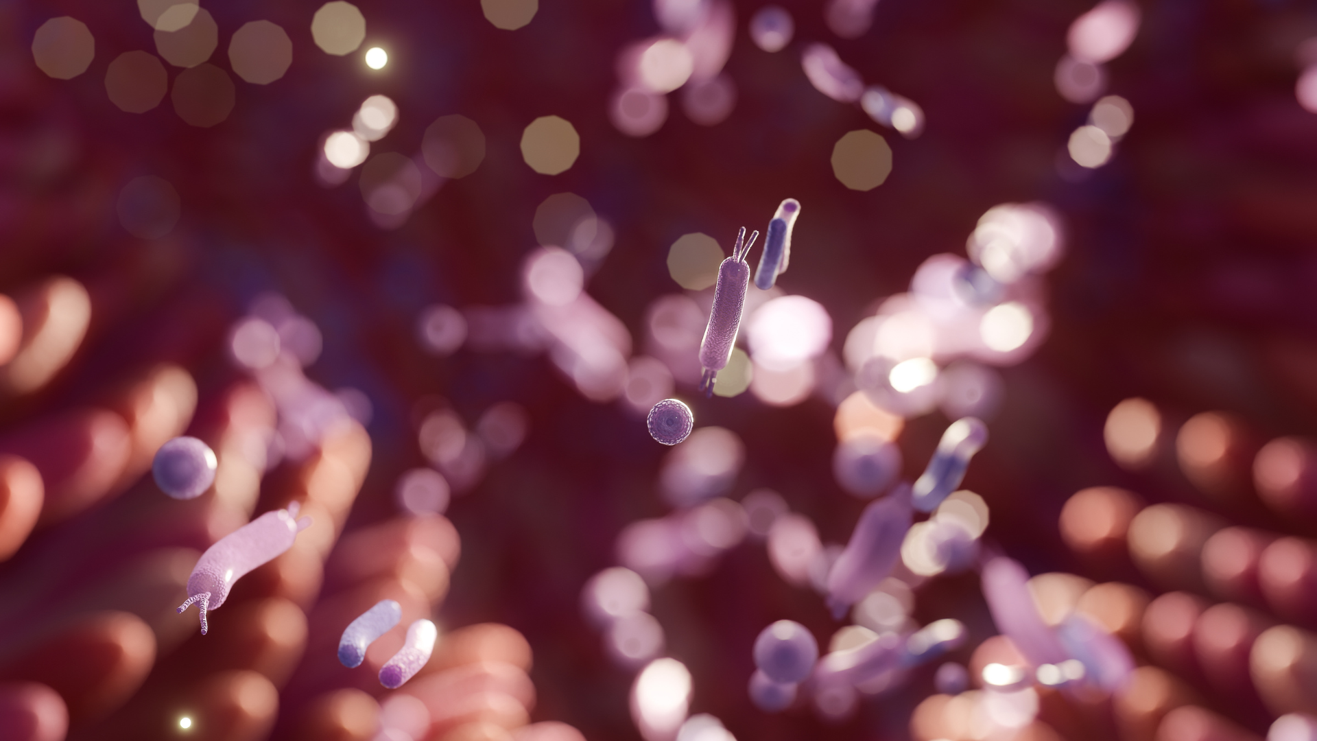 Microscopic view of bacteria with rod-shaped and spherical bacteria floating in a reddish background.