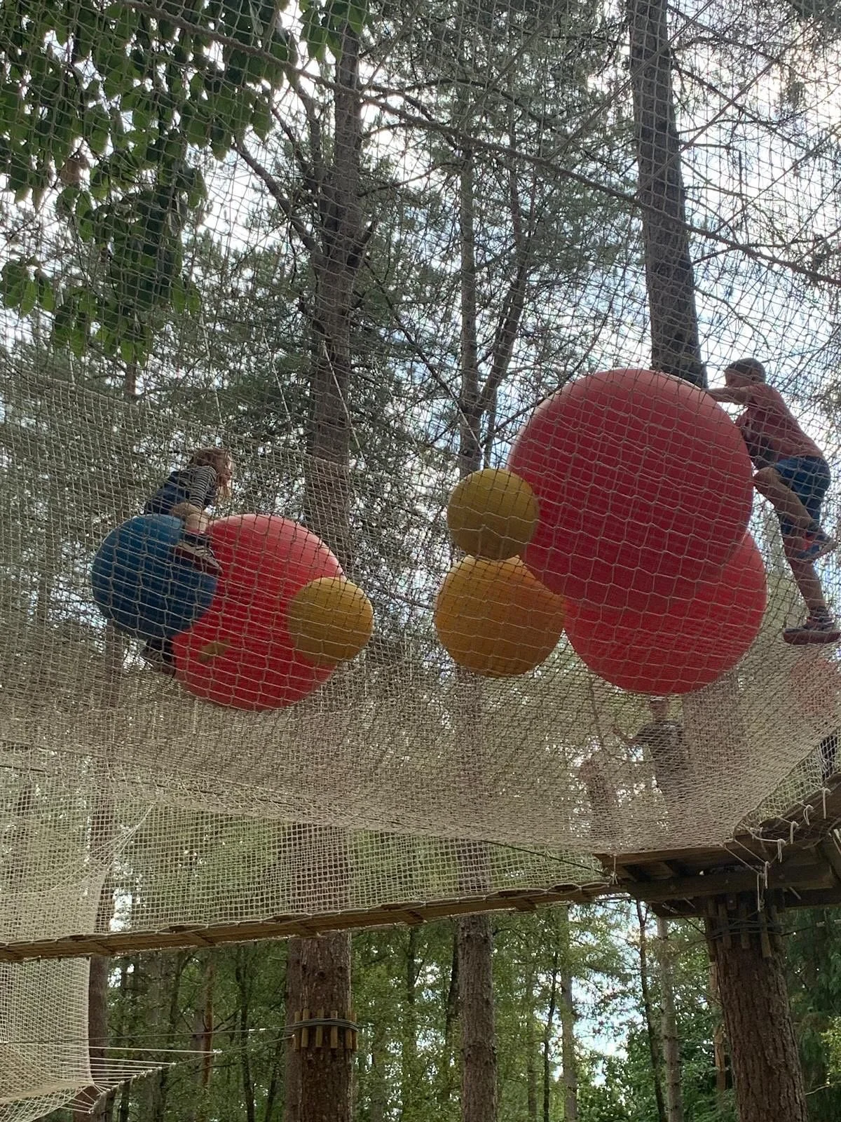 Such a lovely get together for all ages at Alice Holt a few weeks ago. The rain only made a brief appearance so the children had an amazing time with new and old friends in the trees and parents and carers had time to chat and share information and s
