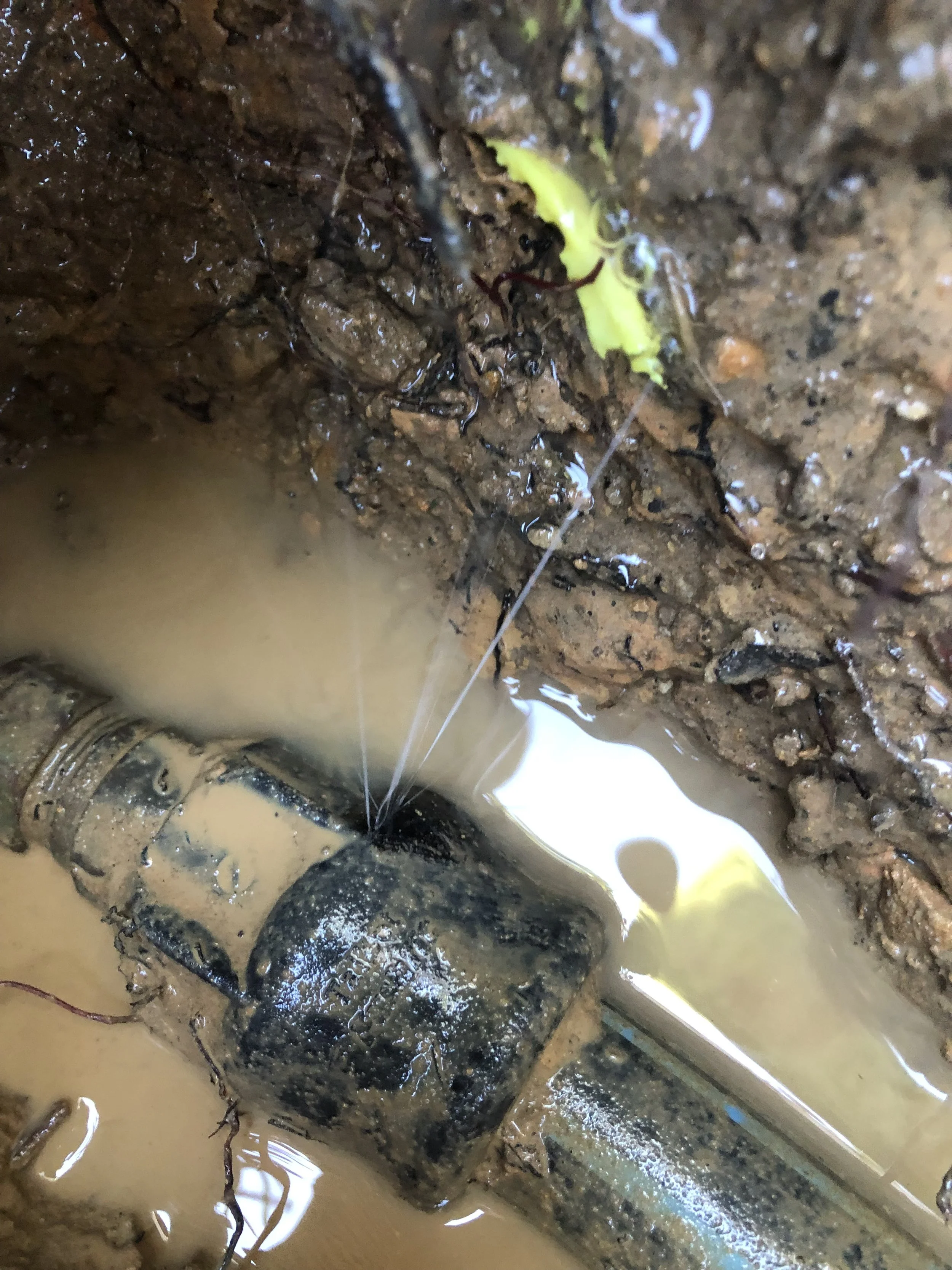 A close-up of an underground water pipe with muddy water around it, showing a small green insect near the mud and a wire in the water.