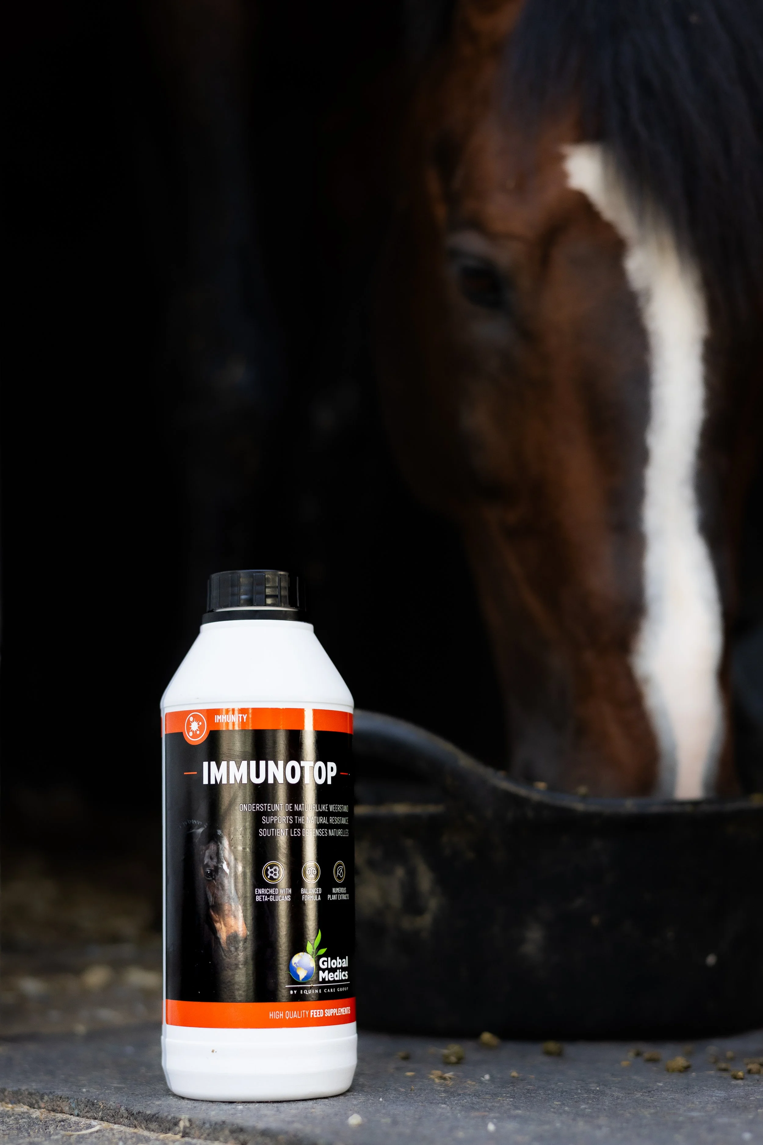 KB-EQUESTRIAN-FULL-HD-04.jpg