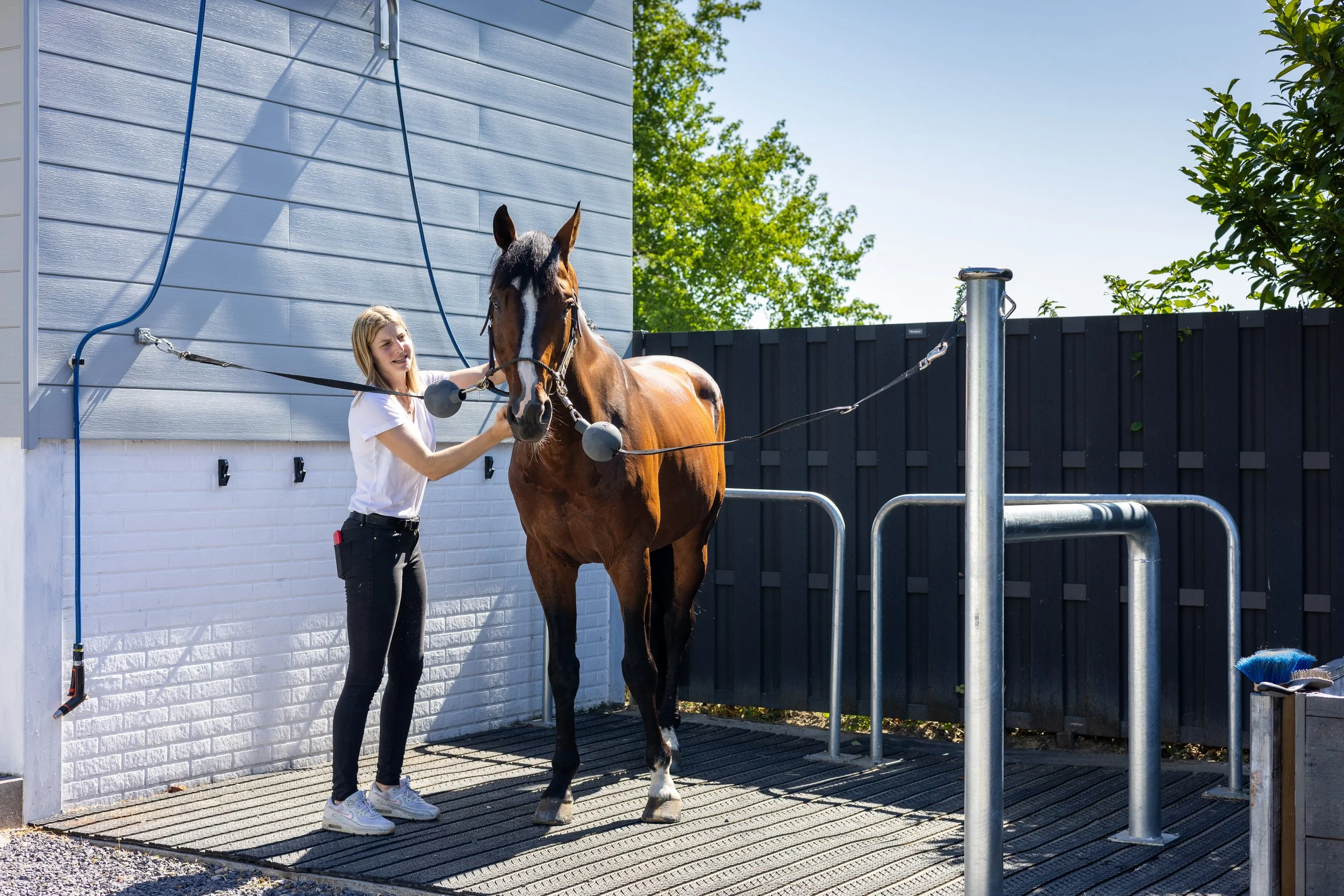 KB-EQUESTRIAN-FULL-HD-21.jpg