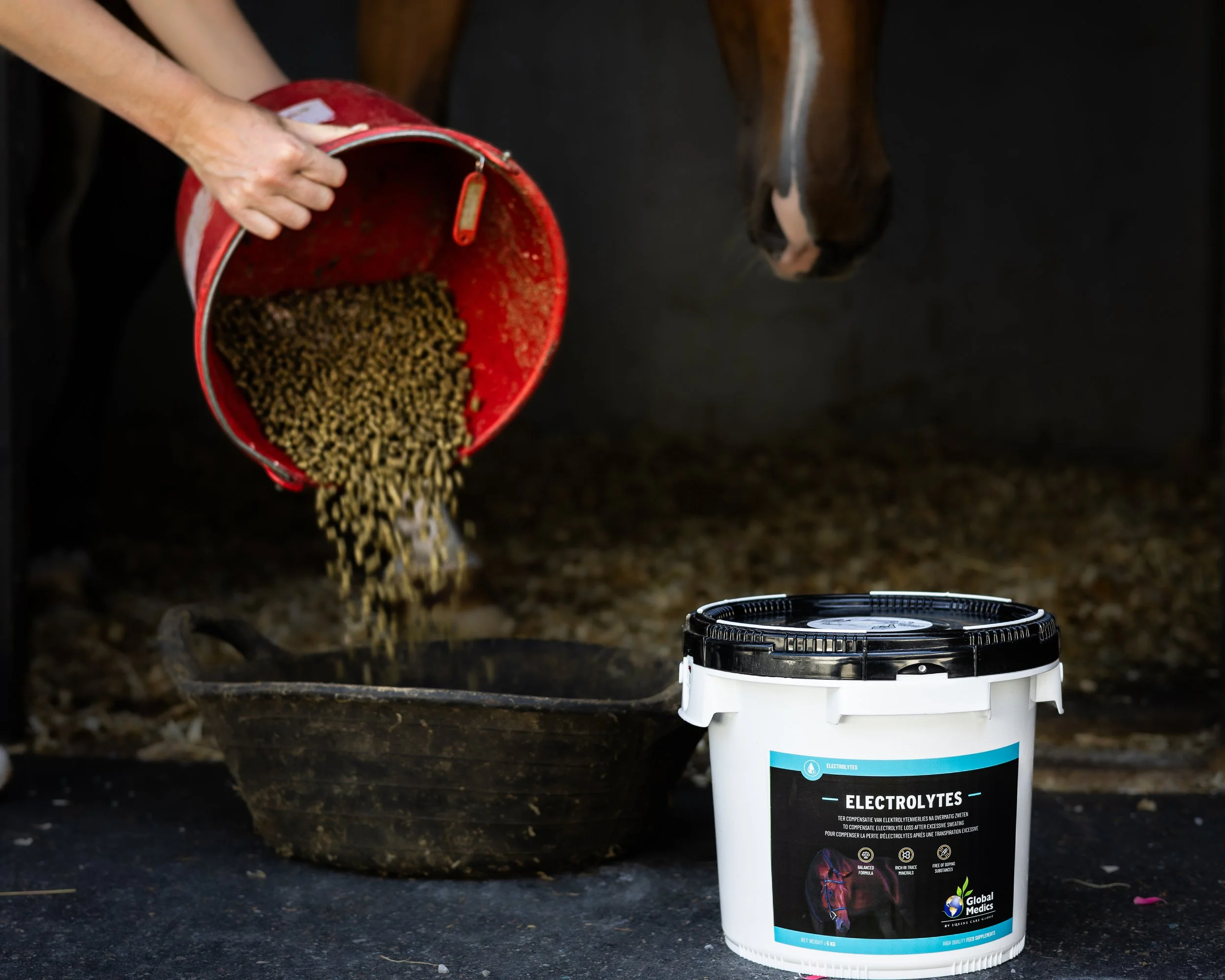 KB-EQUESTRIAN-FULL-HD-03.jpg