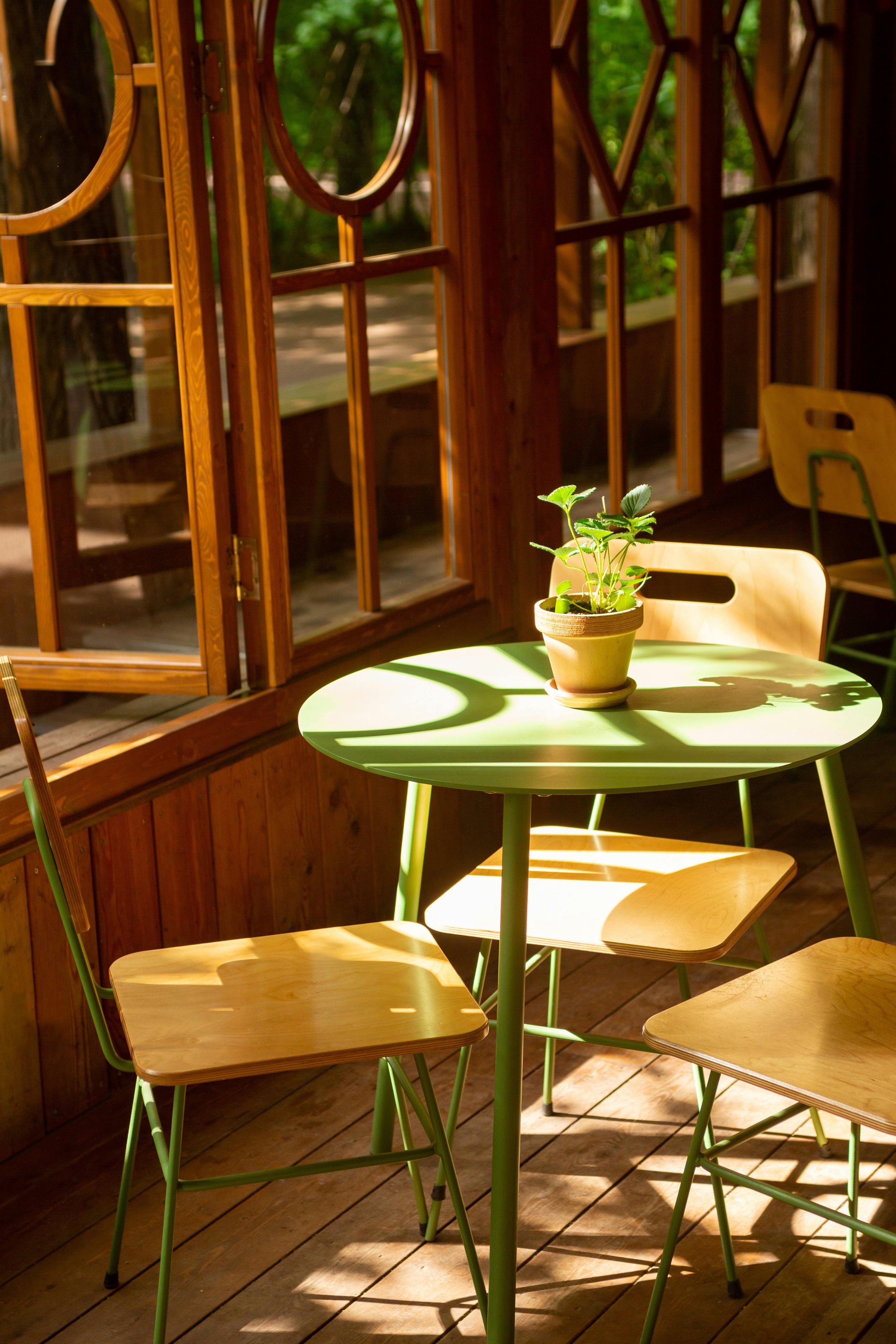 Another Good Day Maxine Hassing Impact Businesses Grow and Build Your Business. We are a Strategy and Marketing Agency Entrepreneurs Purpose Driven. ISunlit interior of a wooden room with a small green table, a potted plant on top, and wooden chairs.