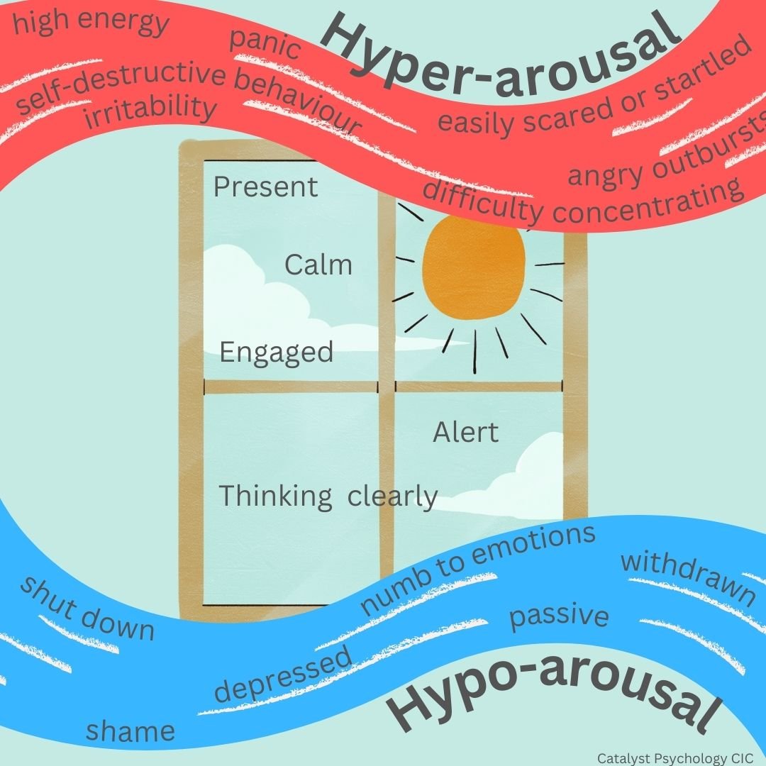 The Window of Tolerance – understanding stress, emotions, and behaviour