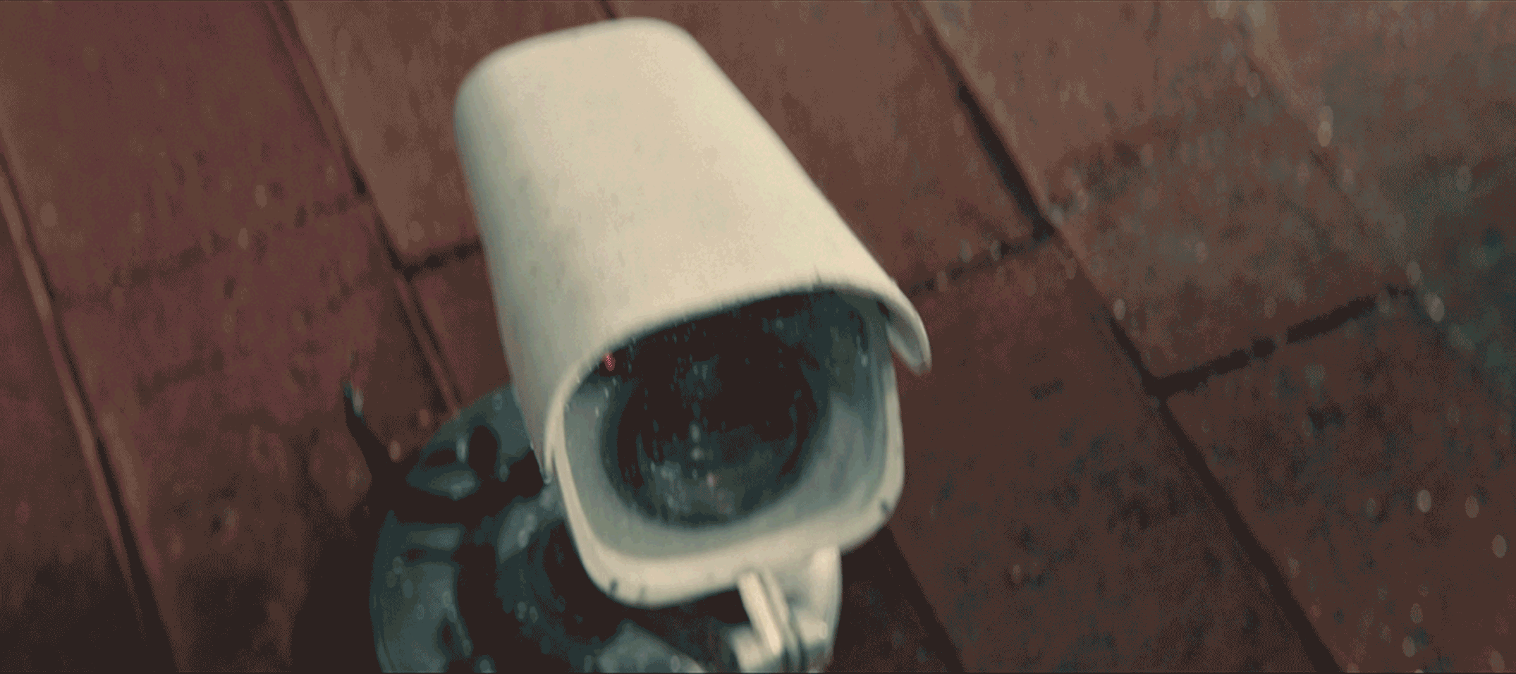 Cam-GIF.gif