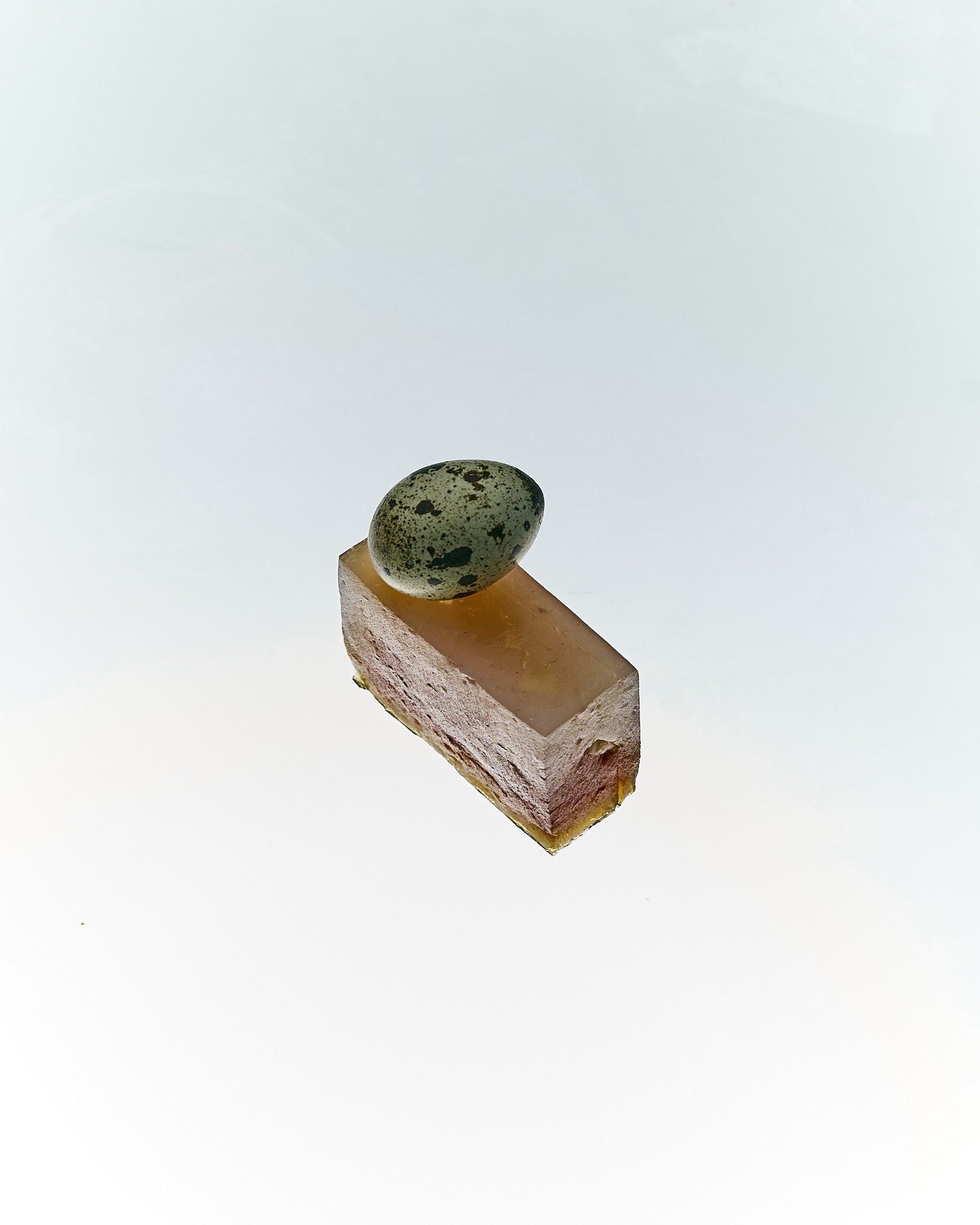 25.08.10 - Cake0302.jpg