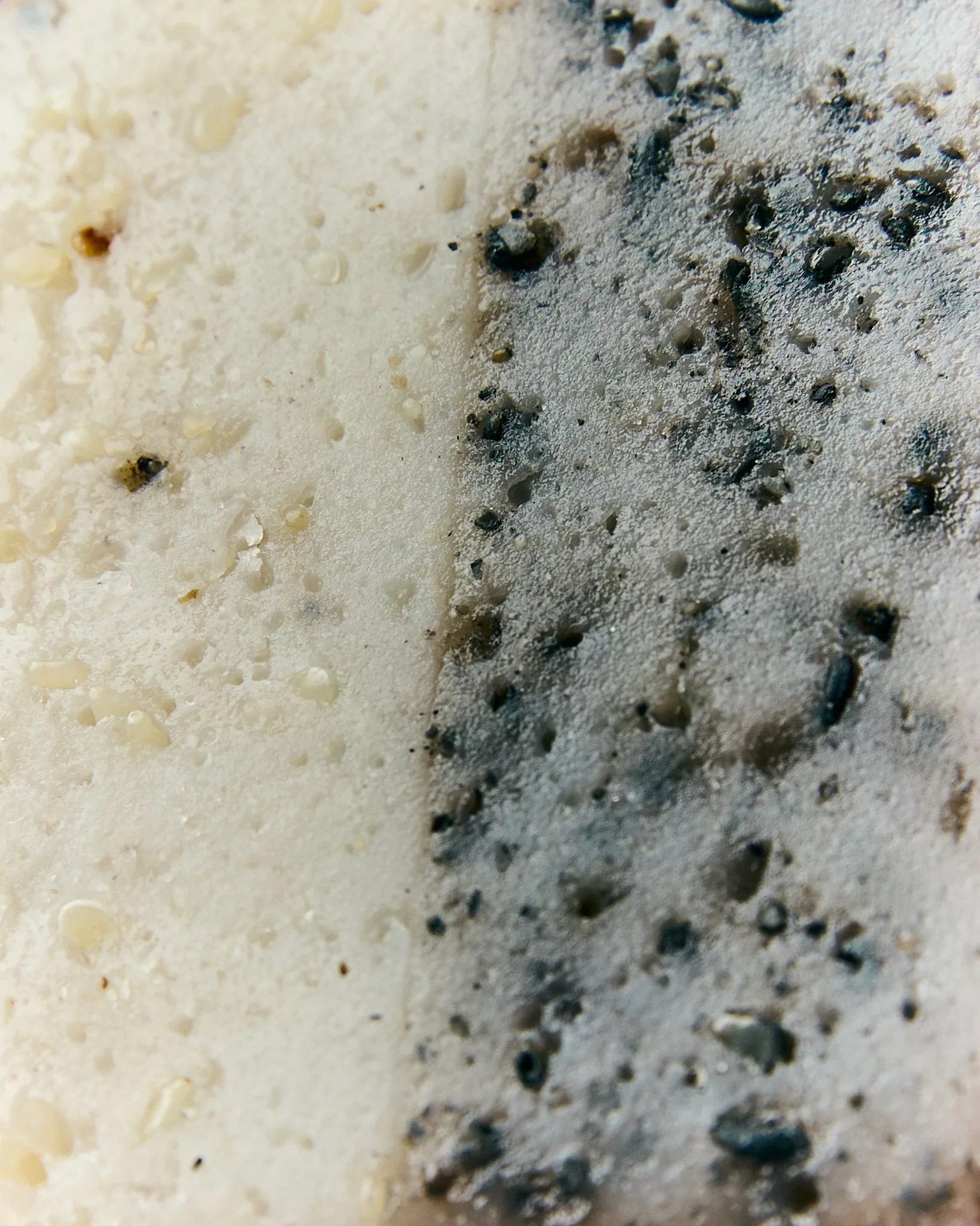 25.08.10 - Cake0231.jpg