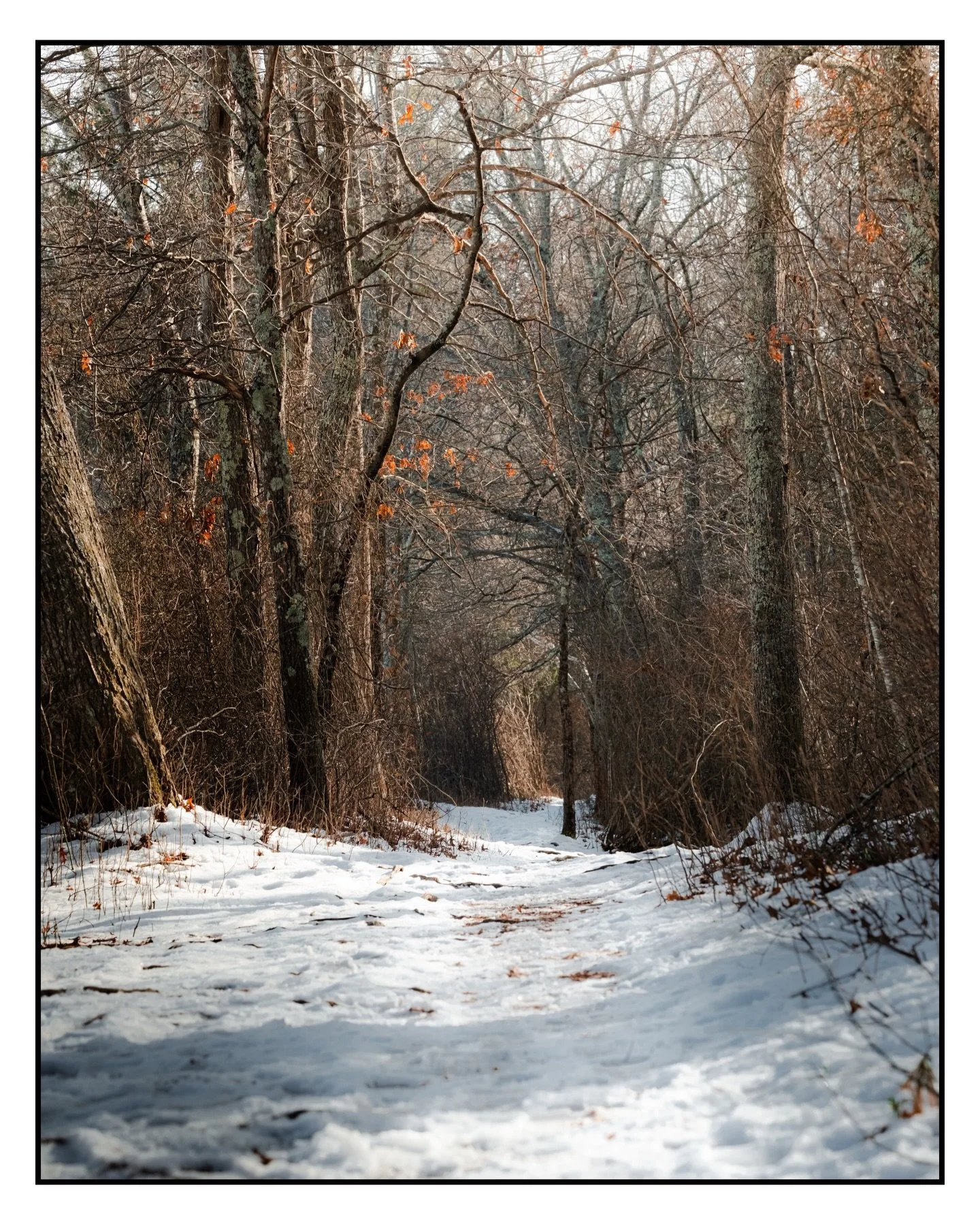 There&rsquo;s something about the winter woods that just feels like a movie set. I&rsquo;ve spent years shooting the scenery, but I&rsquo;m looking for a few more friendly faces to get in front of my camera as I build out that side of my business. If