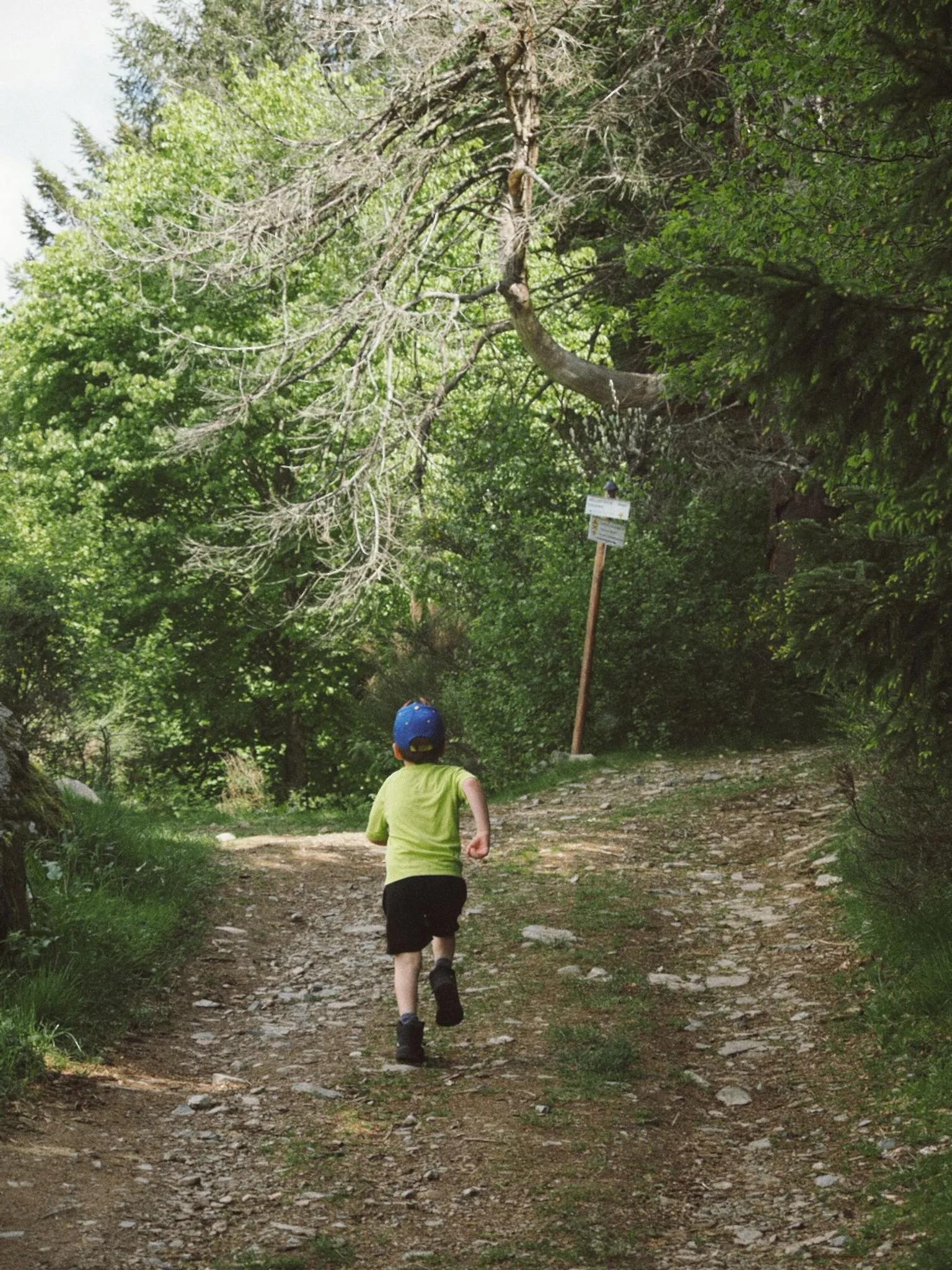 Plaisir des sentiers - Office du tourisme Vallée de la Bruche 2026