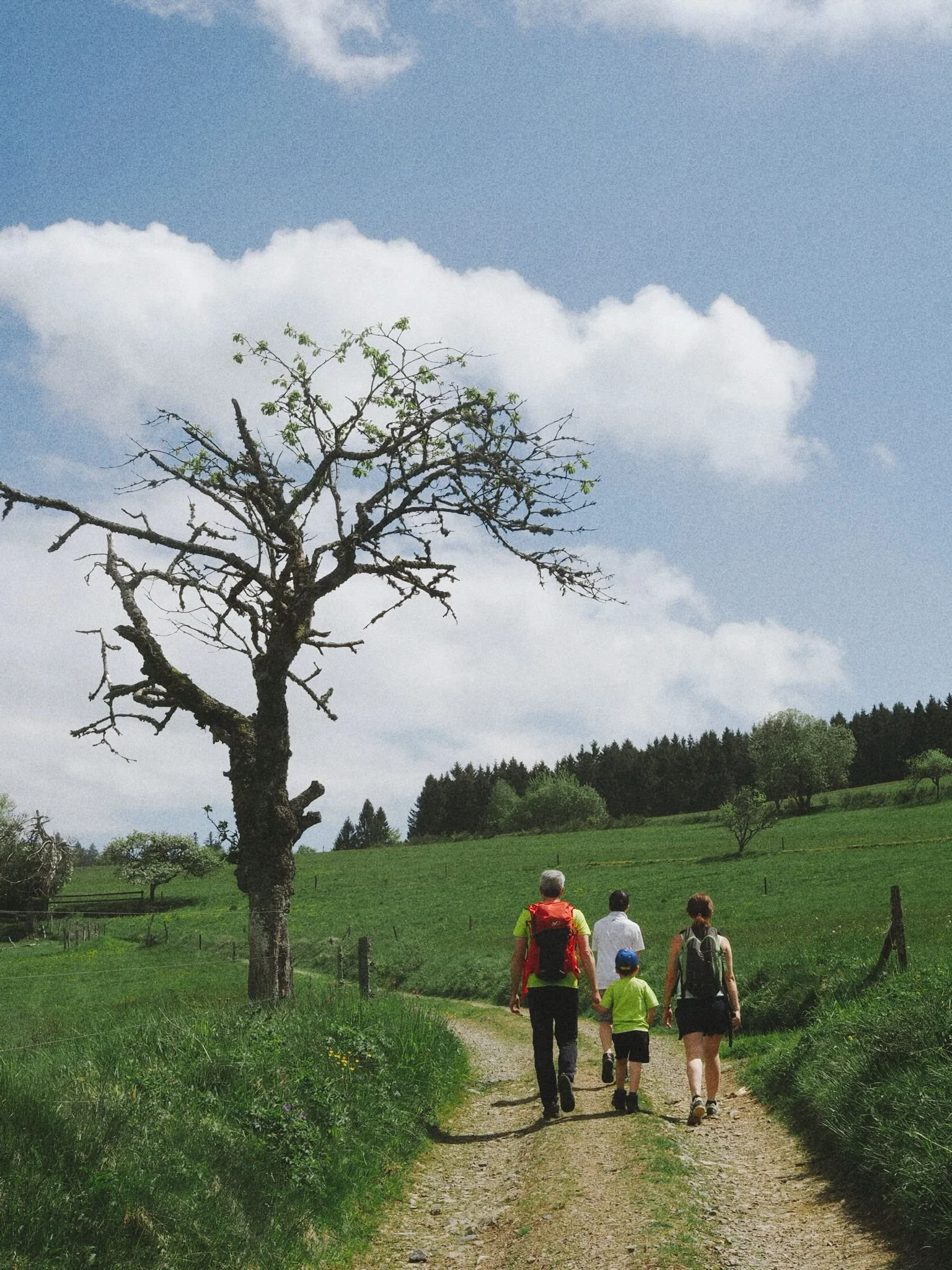 Plaisir des sentiers - Office du tourisme Vallée de la Bruche 2026